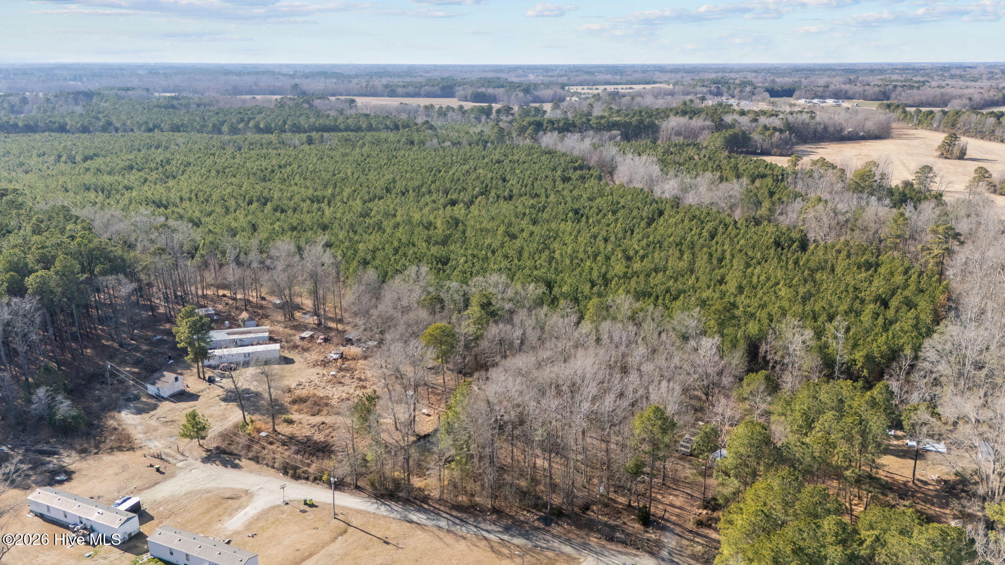 0 Mobleys Bridge Road Grimesland, NC 27837 - Photo 6 of 13 6-web-or-mls-DJI_20260211143919_0265_D
