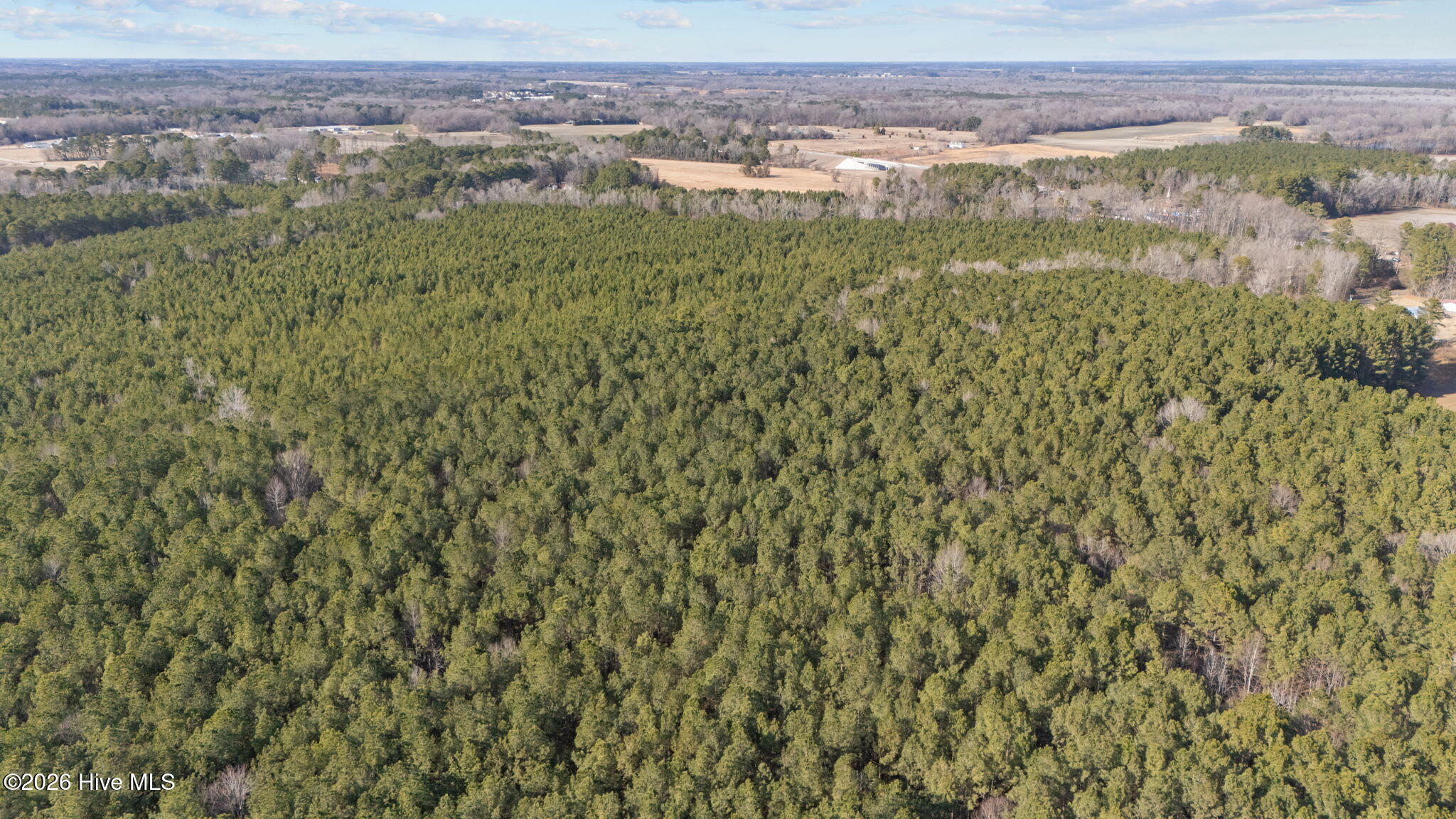 0 Mobleys Bridge Road Grimesland, NC 27837 - Photo 8 of 13 8-web-or-mls-DJI_20260211144342_0267_D