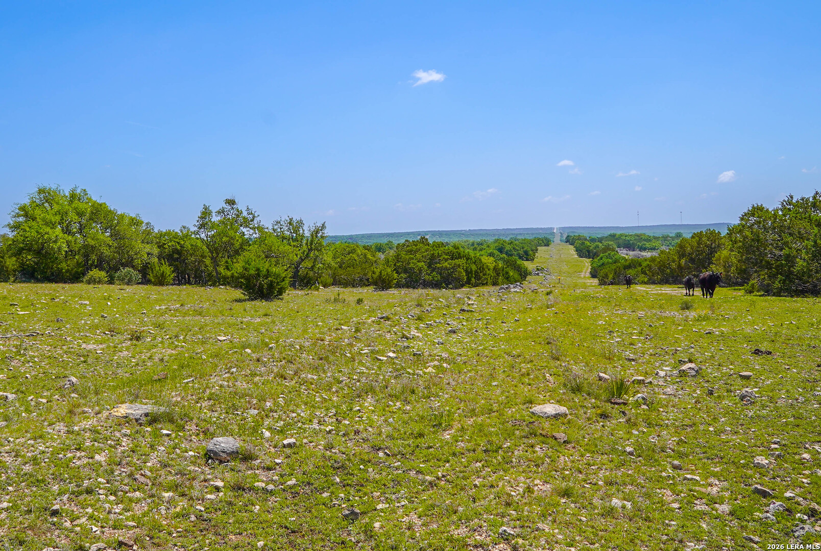 13217 Turner Road Menard, TX 76859 - Photo 84 of 107 Gallery Image 84