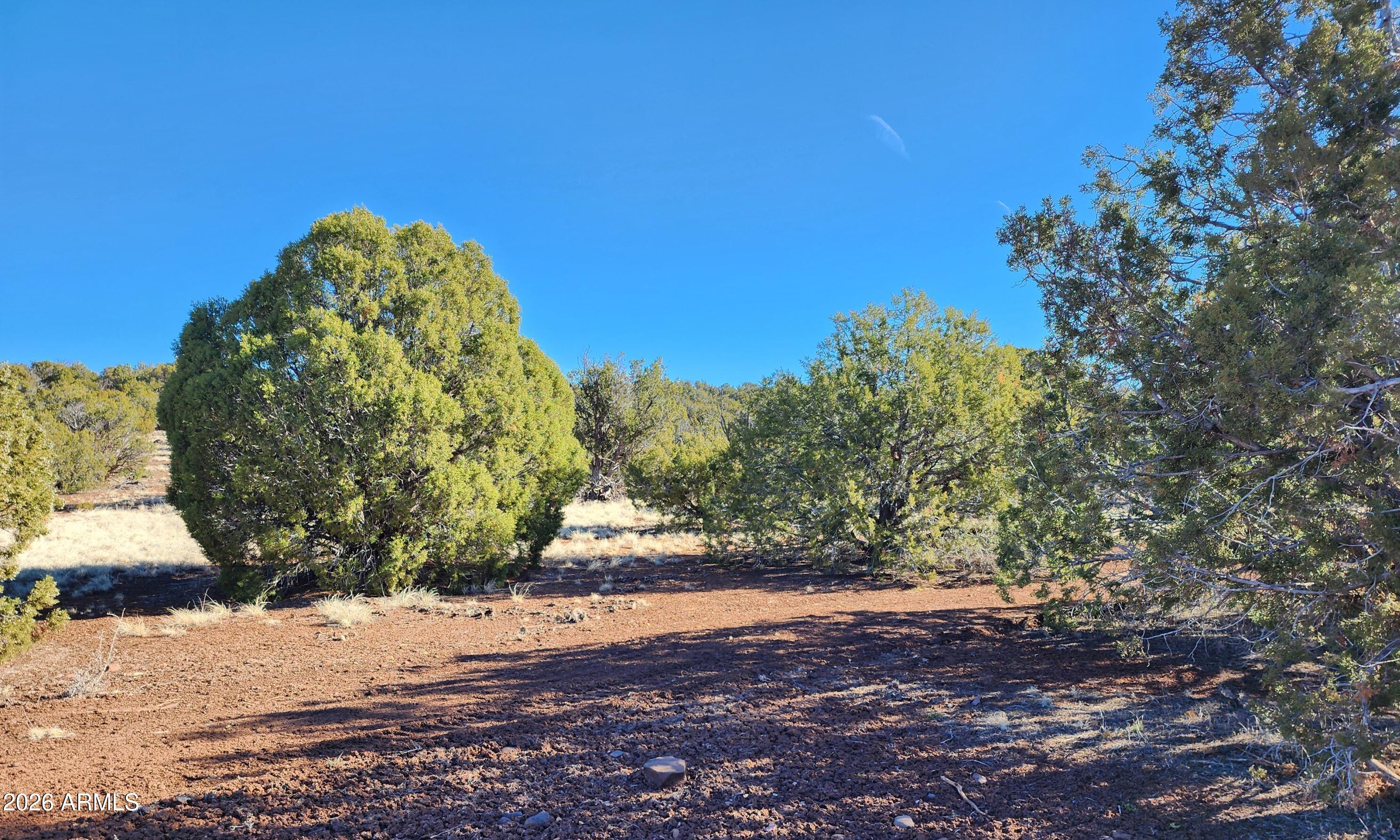 2 County Road Concho, AZ 85924 - Photo 9 of 10 2 County Rd N8715