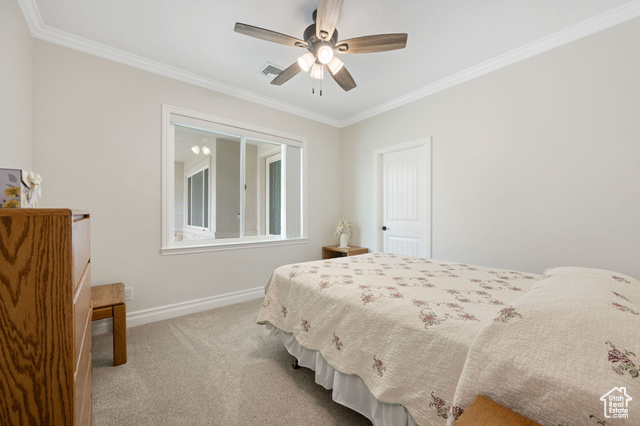 230 Boulder Way Leeds, UT 84746 - Photo 36 of 72 ADU Bedroom with ornamental molding, carpet floors, ceiling fan, and spacious walk-in closet