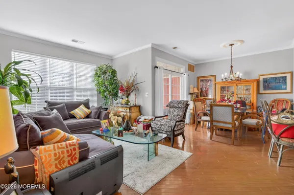 a living room with furniture potted plant and a window