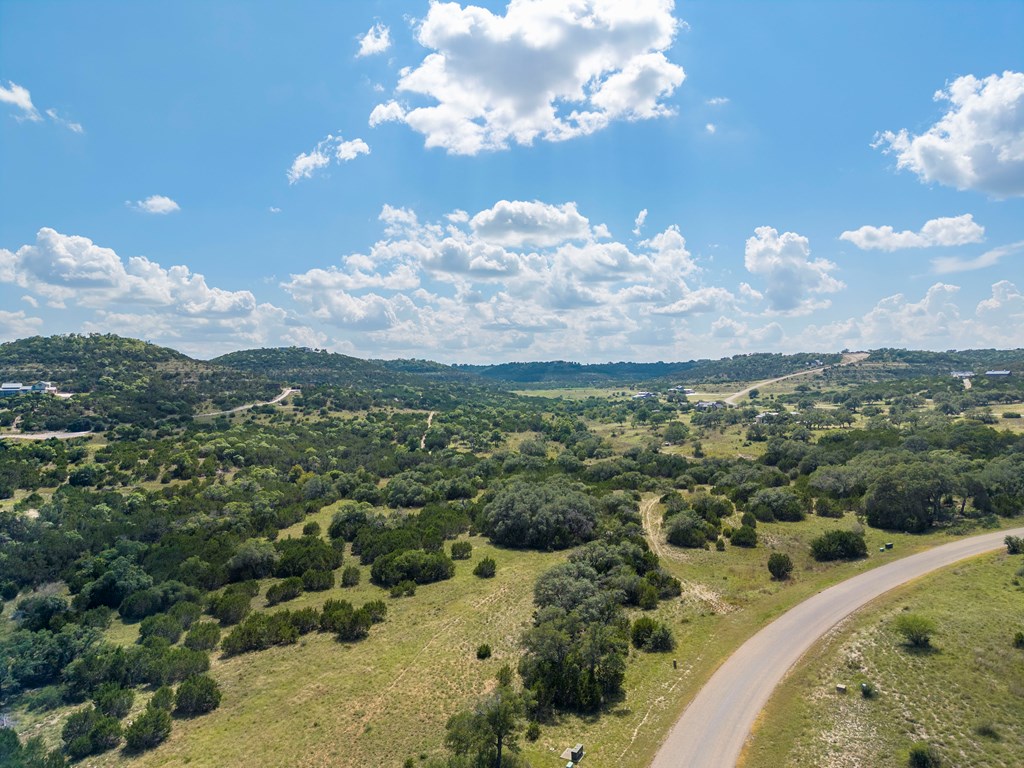 717 Bluff Ridge Trail, Unit 77 Blanco, TX 78606 - Photo 9 of 21