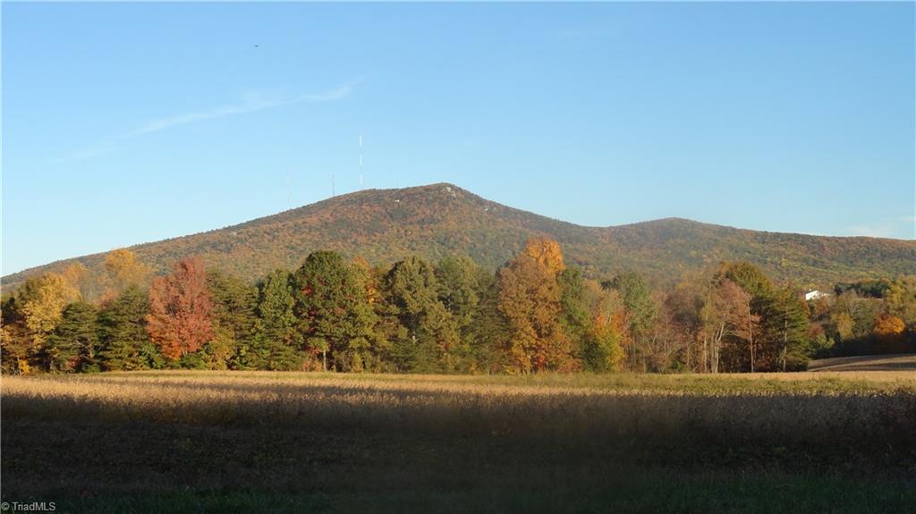 2 Brims Grove Road Pinnacle, NC 27043 - Photo 2 of 8