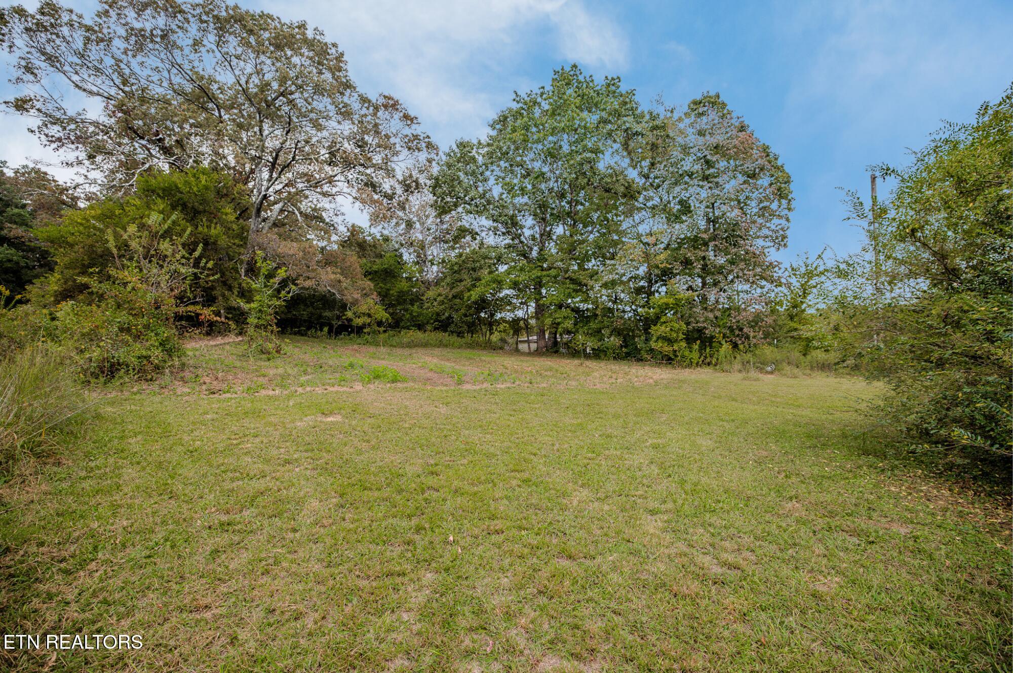 4722 Salem Road Greenback, TN 37742 - Photo 6 of 18 3