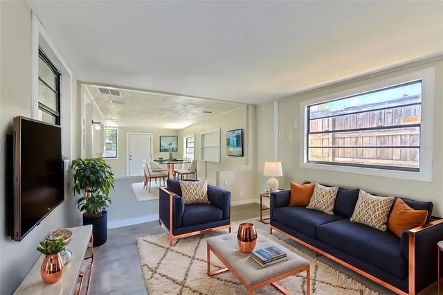 a living room with furniture potted plant and a window
