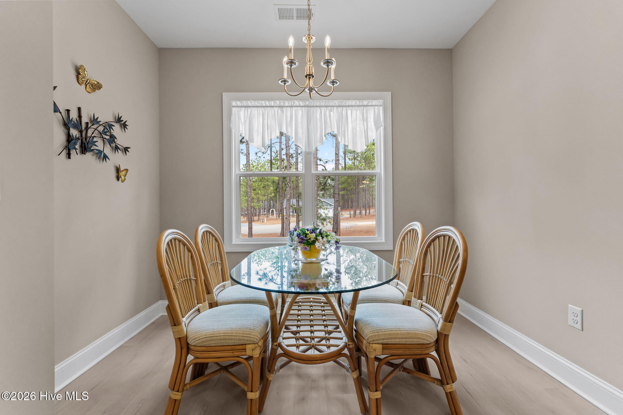 102 Roxburgh Court West End, NC 27376 - Photo 16 of 52 13-web-or-mls-DSC07996