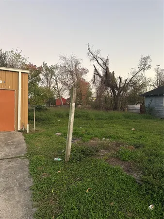 a view of a garden with a tree