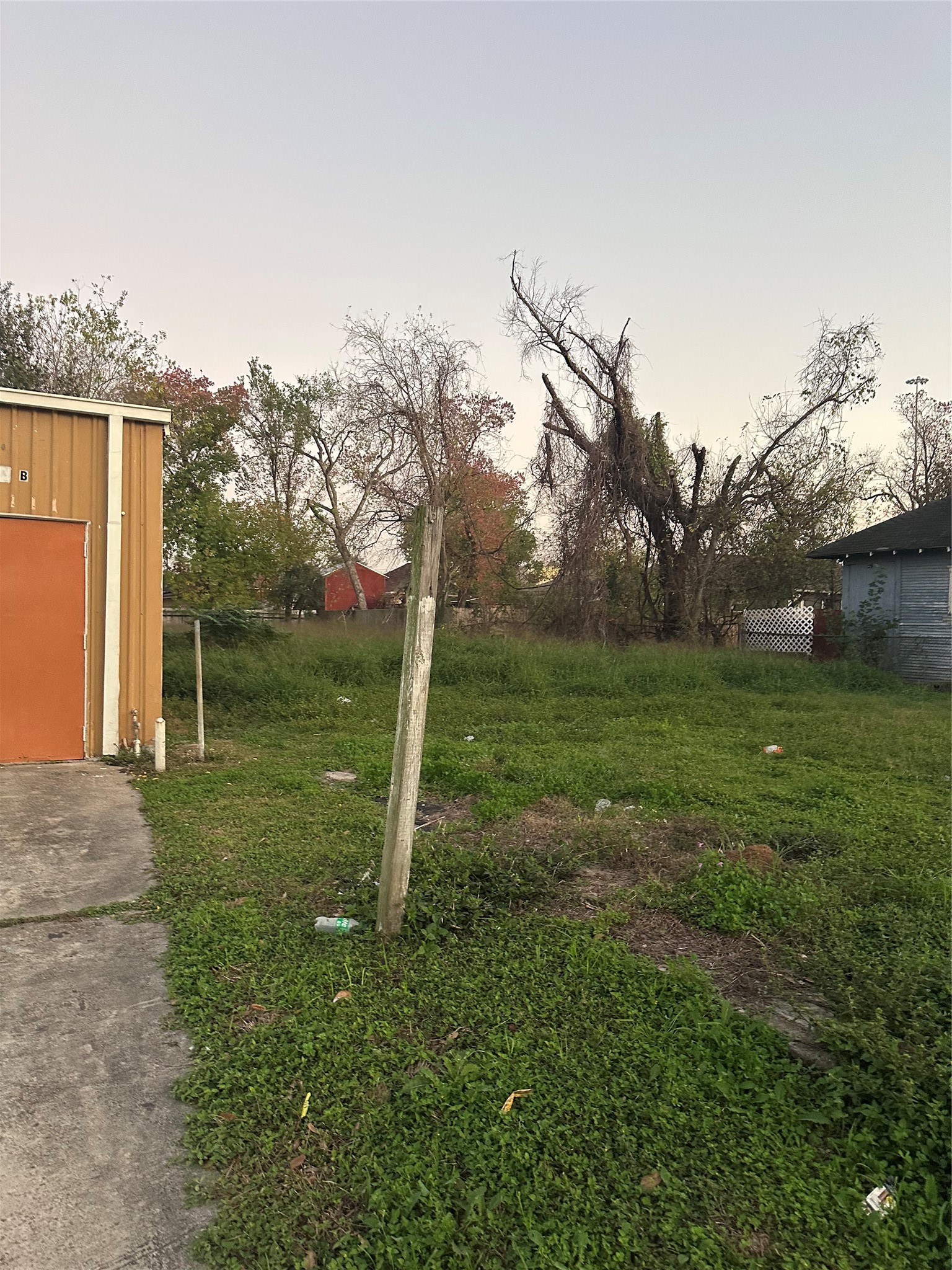 1108 Gregg Street Houston, TX 77020 - Photo 1 of 11 a view of a garden with a tree