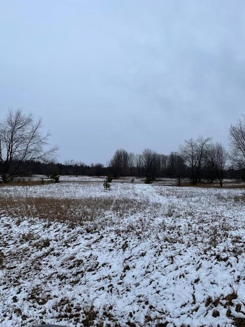 Mallard Road Thompsonville, MI 49683 - Photo 4 of 6 IMG_1510