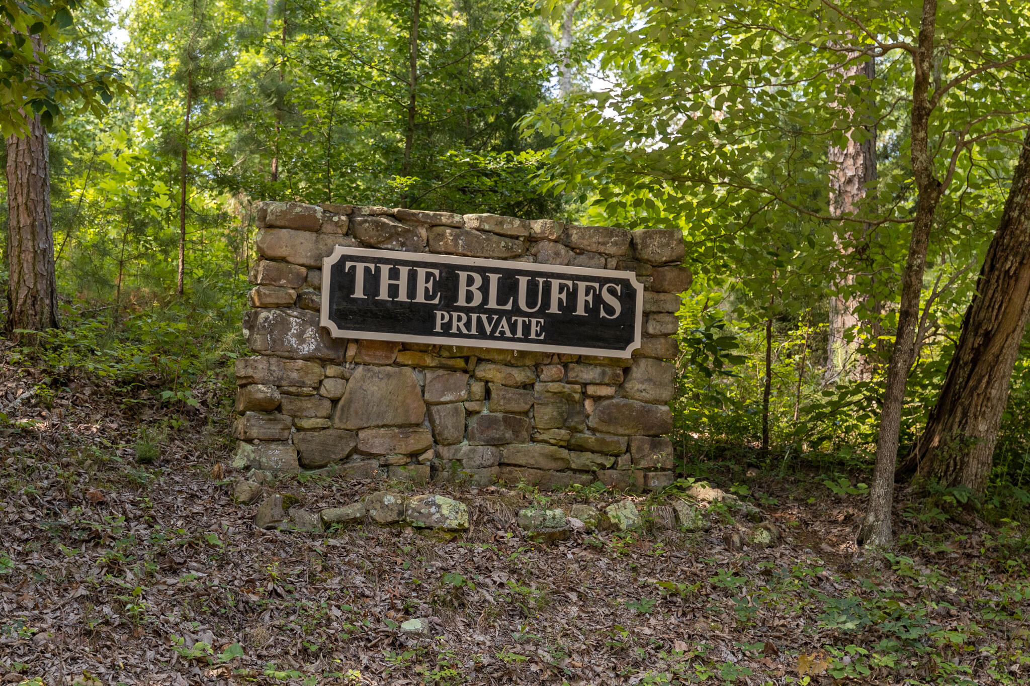 0 Bluffs Road North, Unit LOT 5 Guild, TN 37340 - Photo 2 of 27 The Bluffs Gated Community