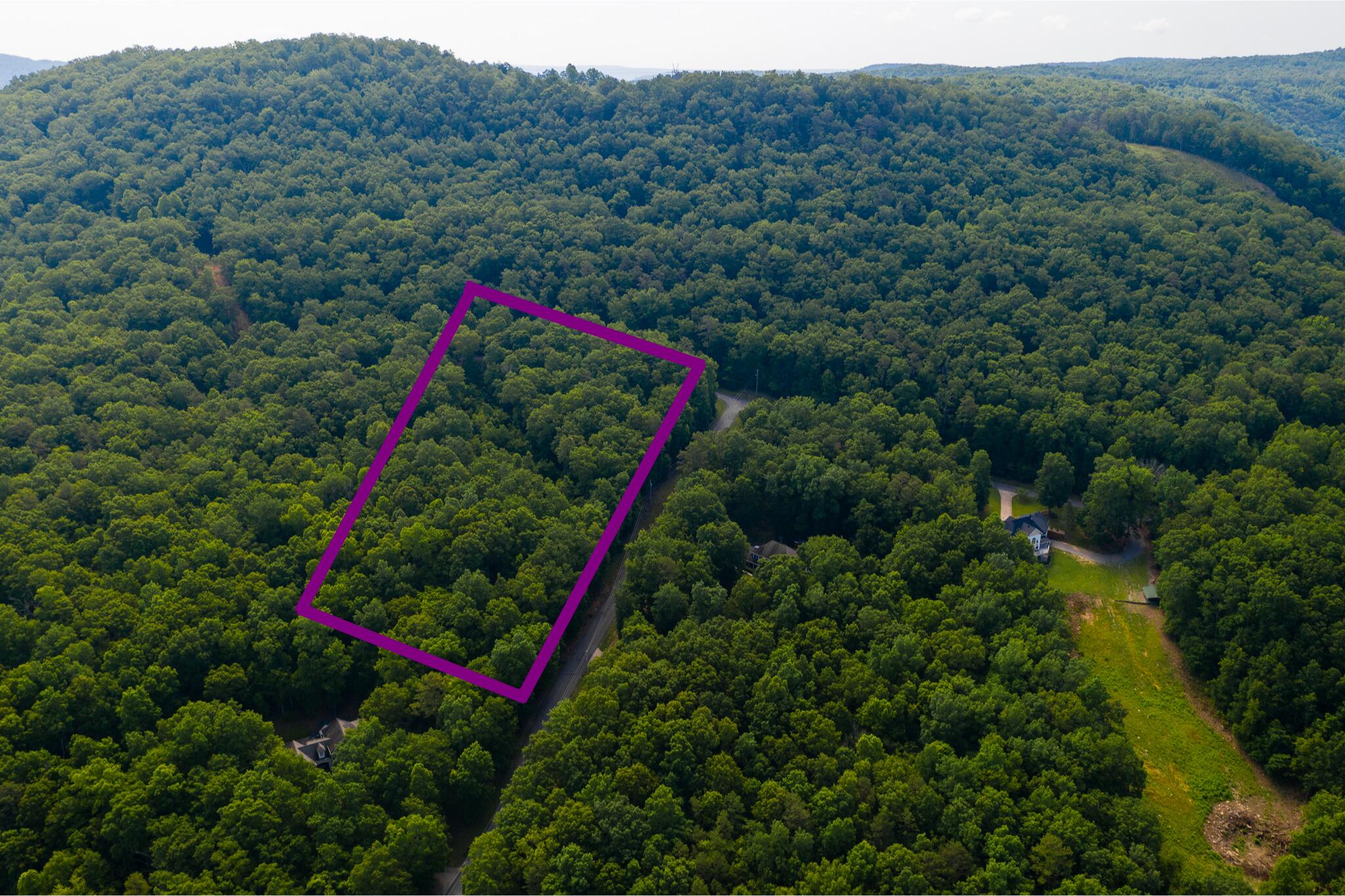 0 Bluffs Road North, Unit LOT 5 Guild, TN 37340 - Photo 18 of 27 Approximate Lot Lines