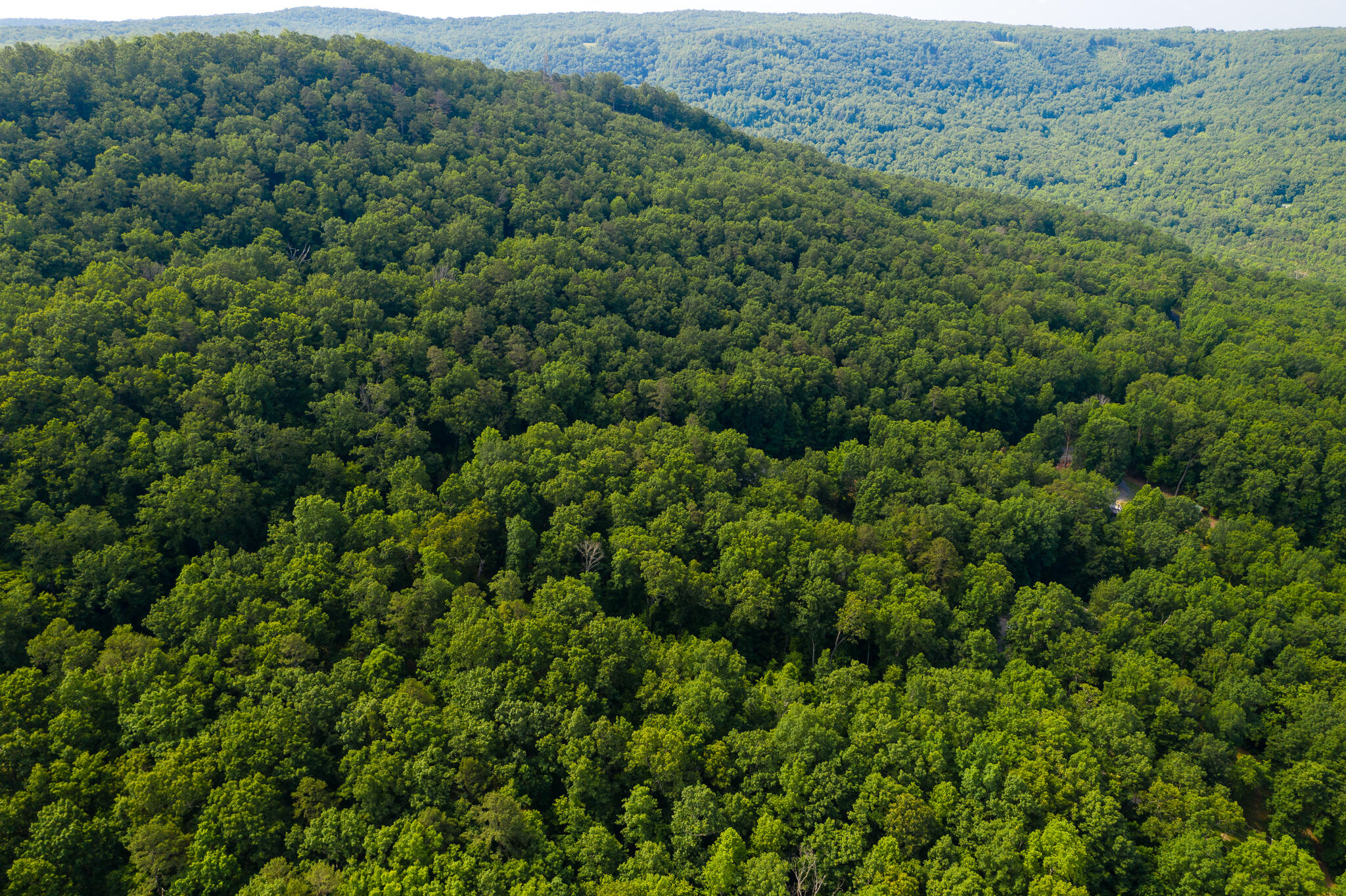 0 Bluffs Road North, Unit LOT 5 Guild, TN 37340 - Photo 20 of 27 0 Bluffs Rd, Lot 5