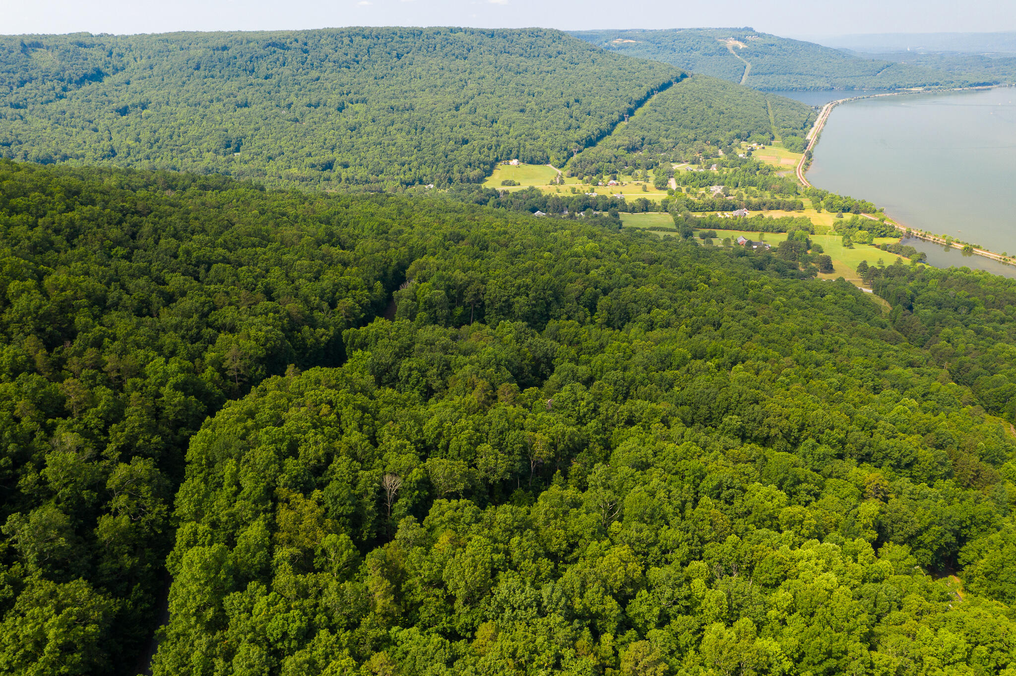 0 Bluffs Road North, Unit LOT 5 Guild, TN 37340 - Photo 21 of 27 0 Bluffs Rd, Lot 5