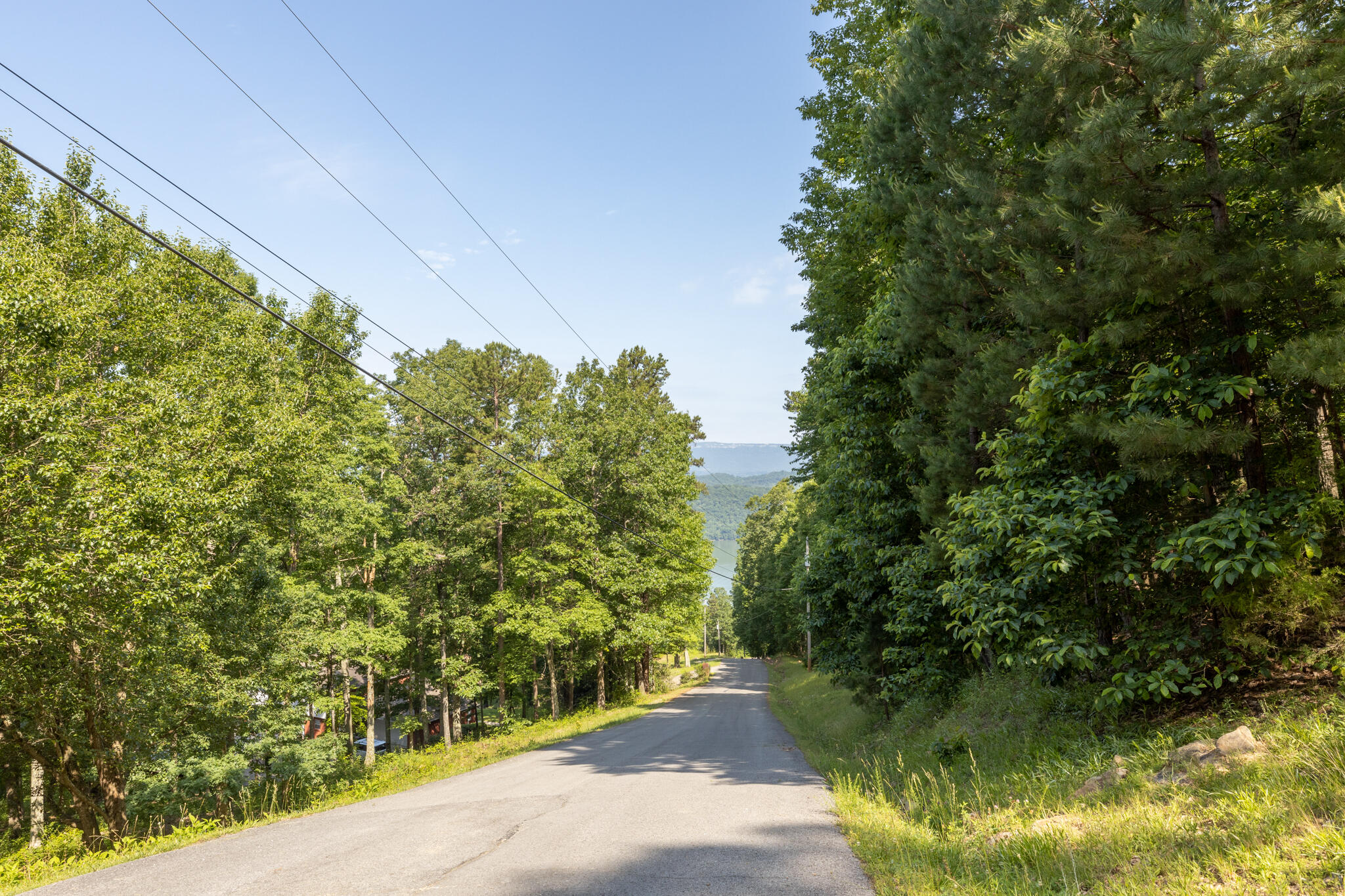 0 Bluffs Road North, Unit LOT 5 Guild, TN 37340 - Photo 4 of 27 0 Bluffs Rd, Lot 5
