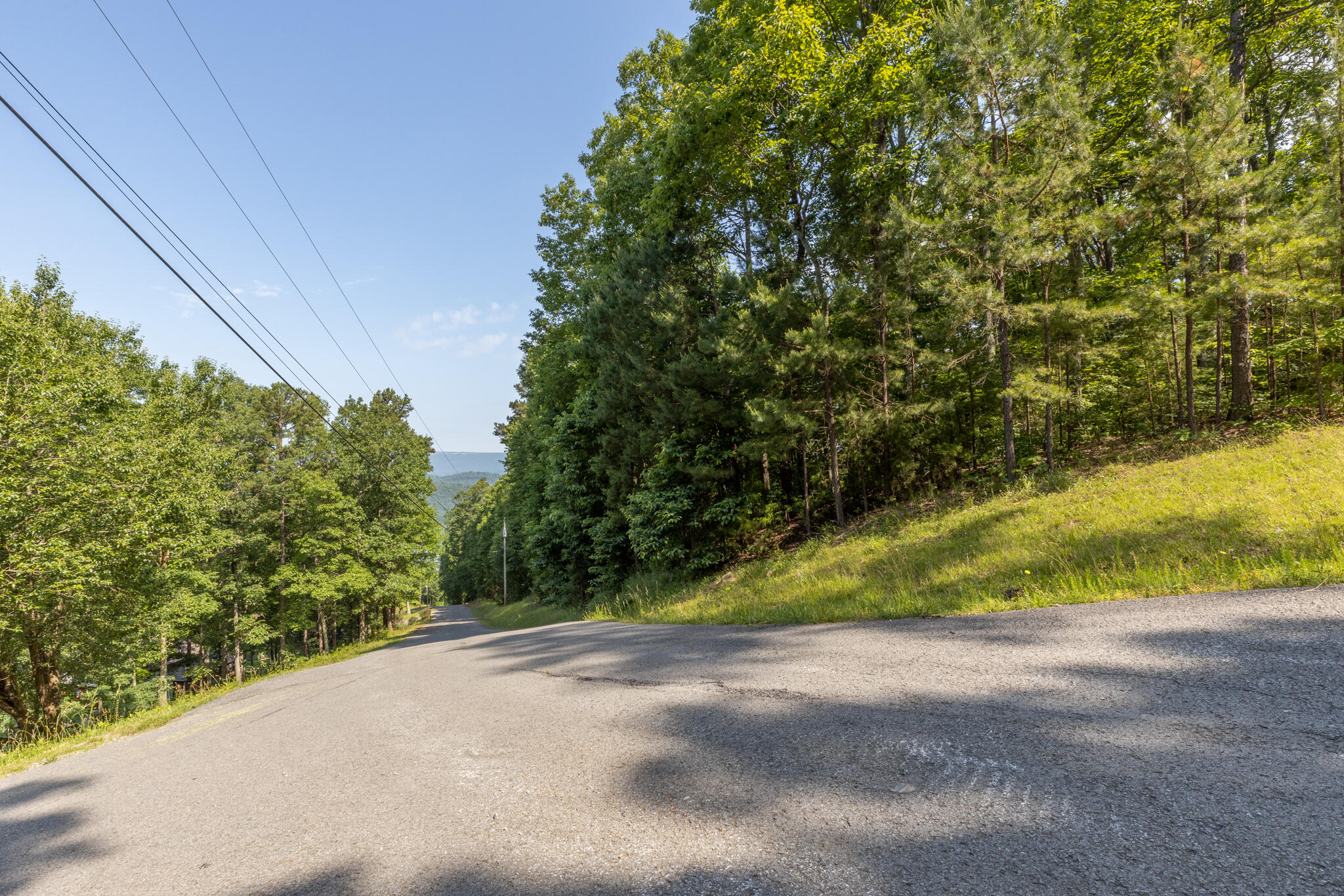 0 Bluffs Road North, Unit LOT 5 Guild, TN 37340 - Photo 5 of 27 0 Bluffs Rd, Lot 5
