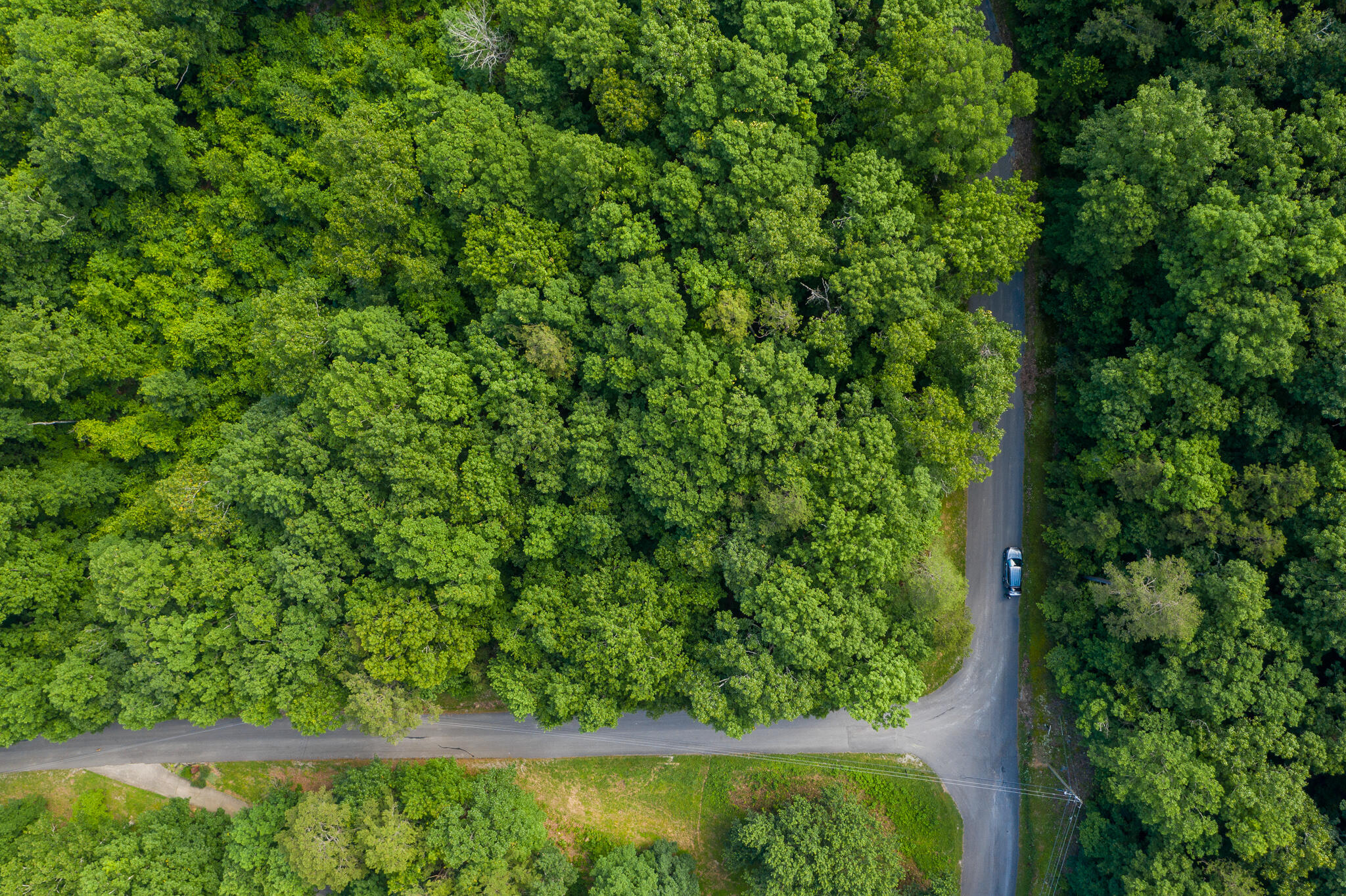 0 Bluffs Road North, Unit LOT 5 Guild, TN 37340 - Photo 6 of 27 0 Bluffs Rd, Lot 5