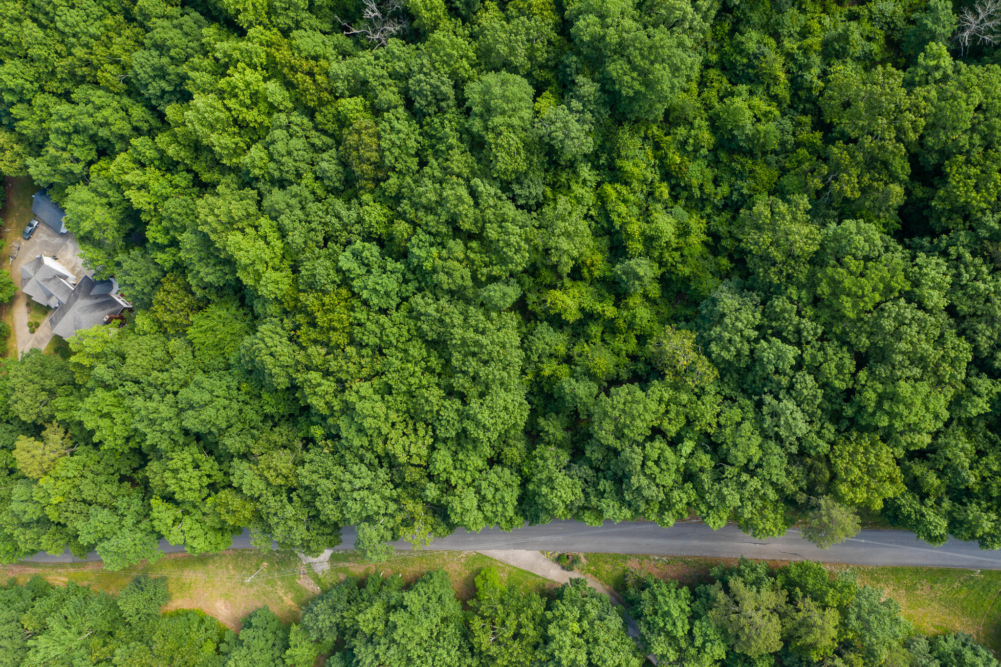 0 Bluffs Road North, Unit LOT 5 Guild, TN 37340 - Photo 7 of 27 0 Bluffs Rd, Lot 5
