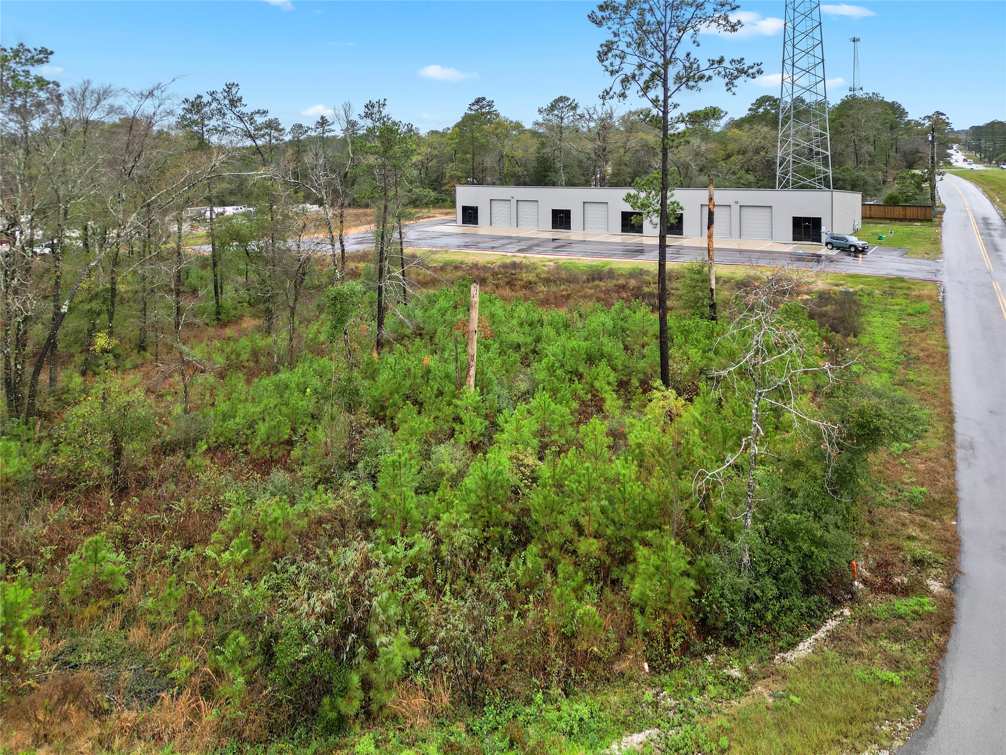 18417 Keenan Cut Off Road Montgomery, TX 77316 - Photo 5 of 15 a view of yard with swimming pool and trees in the background