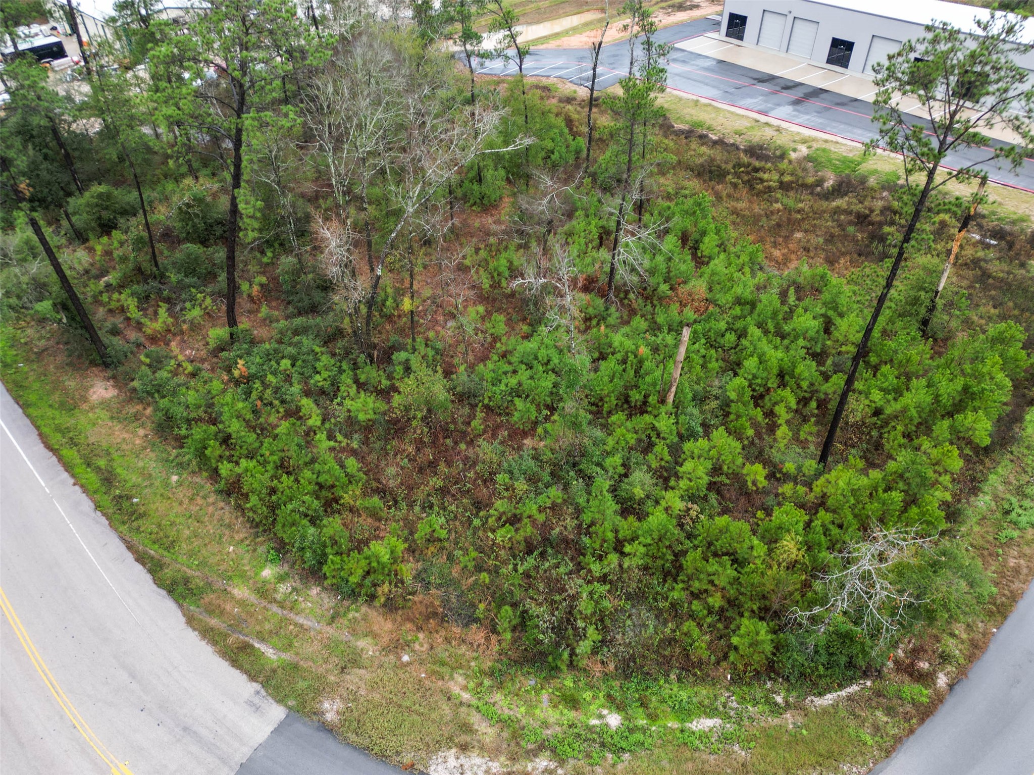 18417 Keenan Cut Off Road Montgomery, TX 77316 - Photo 10 of 15 a view of a back yard from a balcony