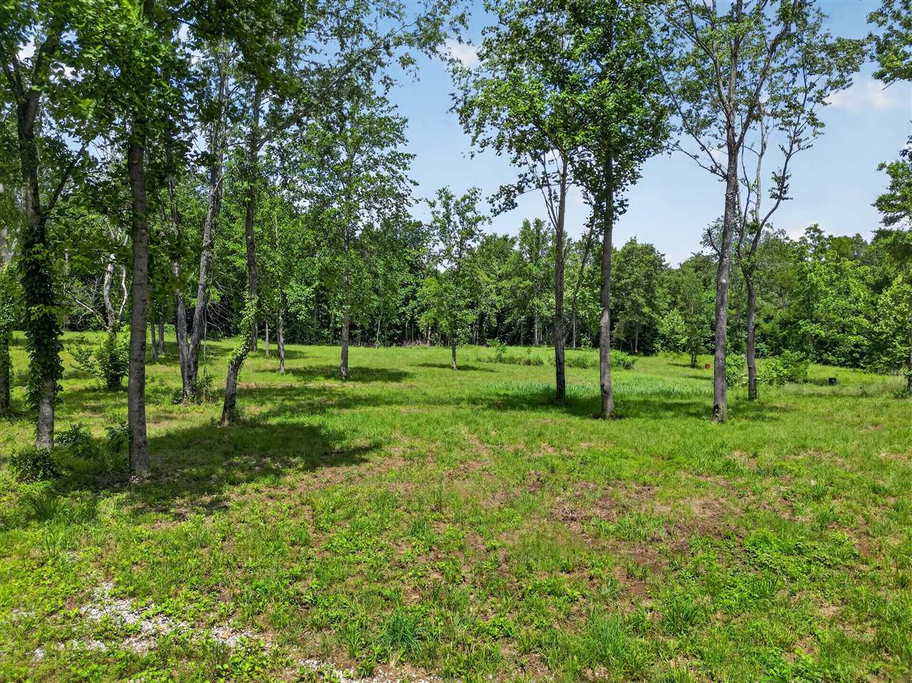 0 Dennis Road Russellville, KY 42276 - Photo 2 of 14 Gallery Image 2