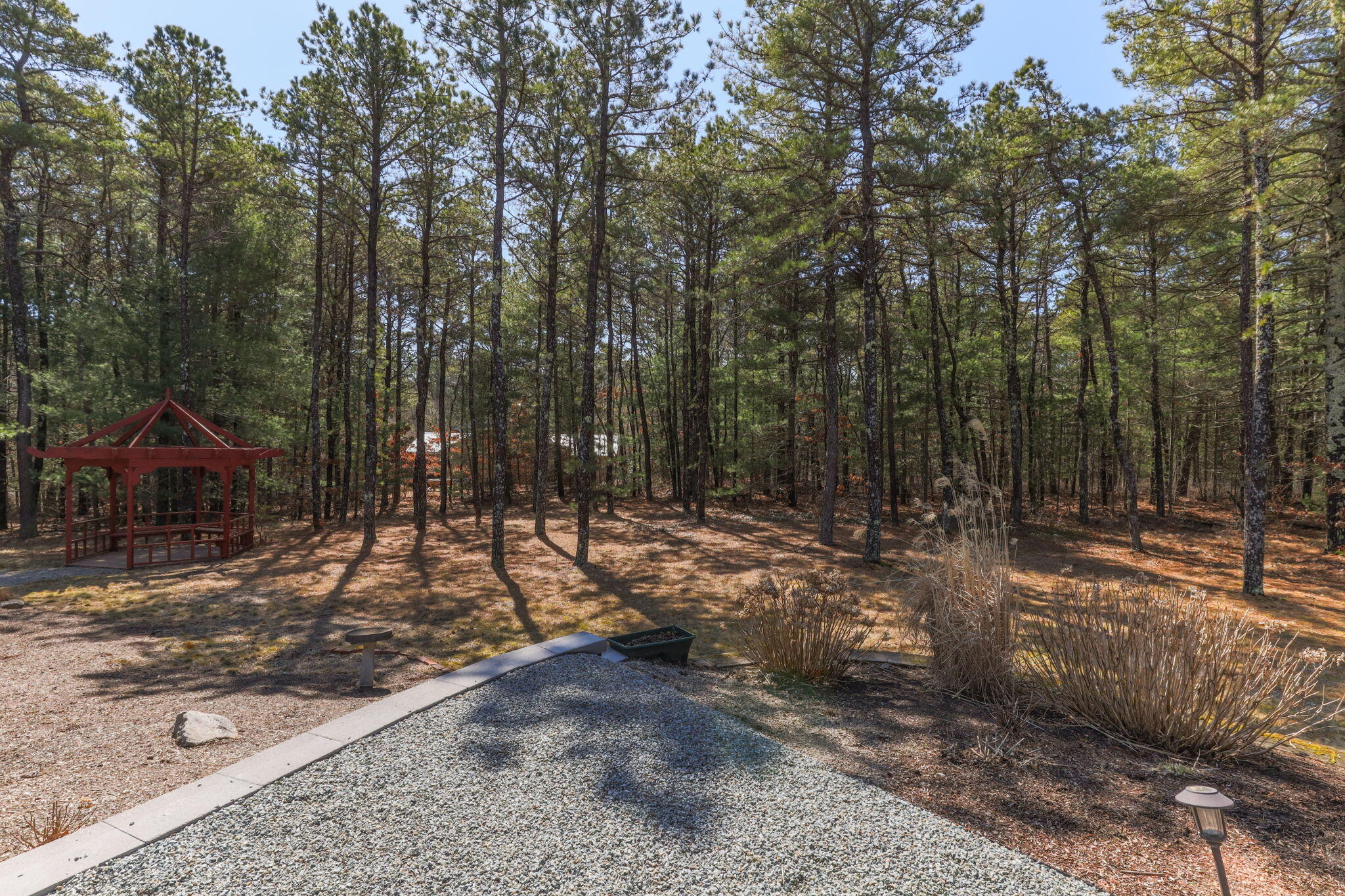 29 Amanda Court Cotuit, MA 02635 - Photo 33 of 45 a view of a park with large trees