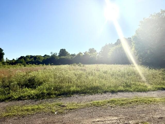482 Friendship Lane Delano, TN 37325 - Photo 7 of 8