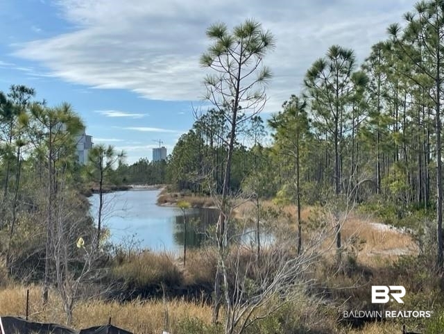 2767 Salt Drive, Unit LOT 4 Orange Beach, AL 36561 - Photo 6 of 18