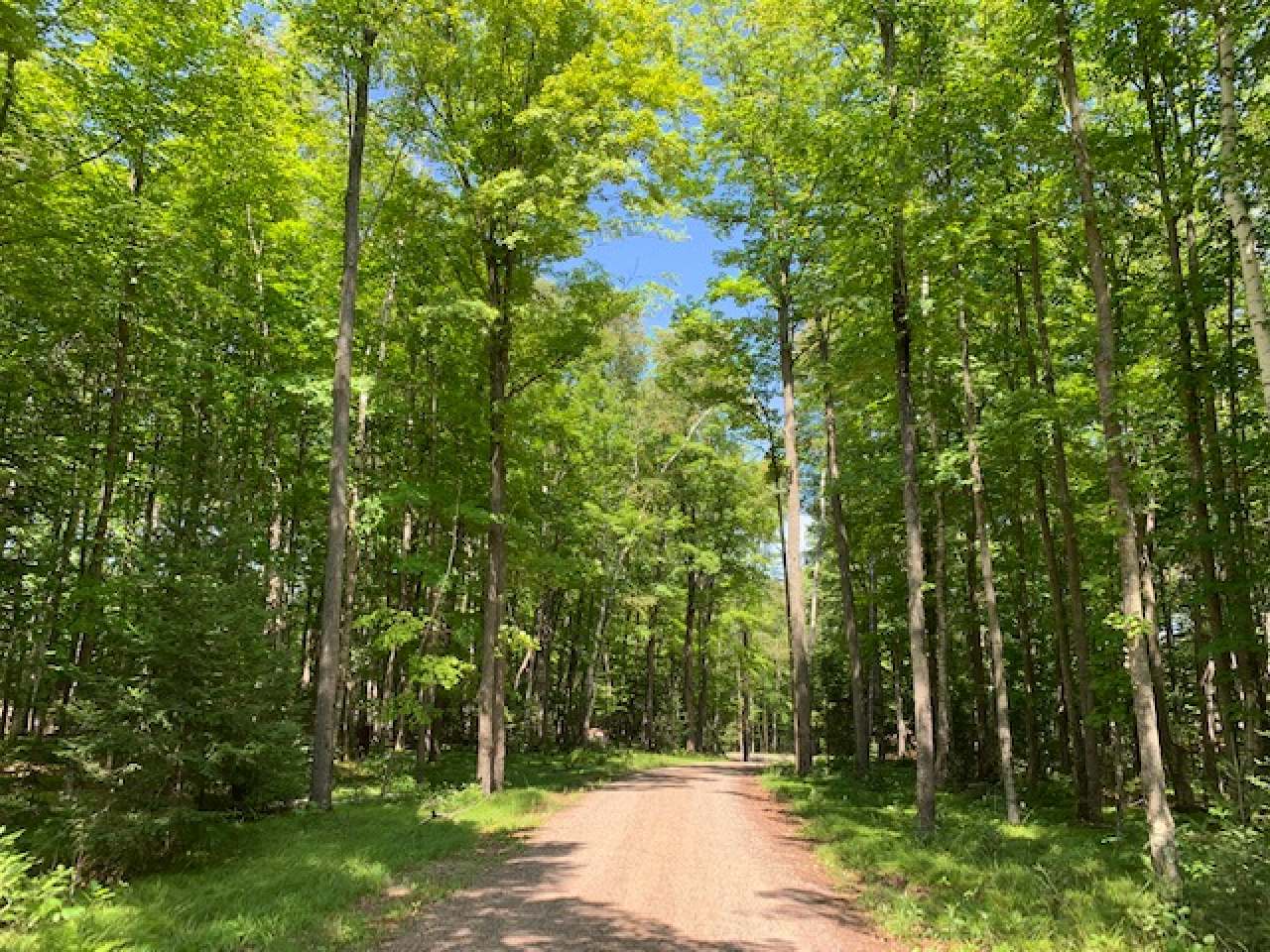 8431 Dombroski Road Harshaw, WI 54529 - Photo 15 of 22 Gallery Image 15
