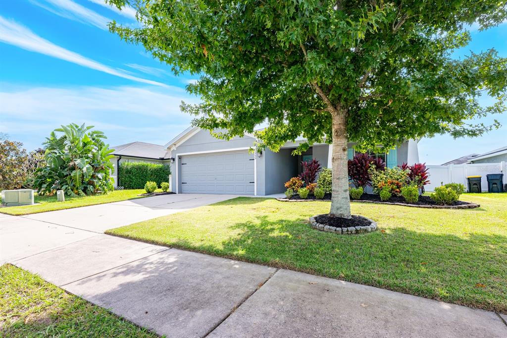 1355 Windward Oaks Loop Auburndale, FL 33823 - Photo 18 of 25 a view of a house with backyard and a tree
