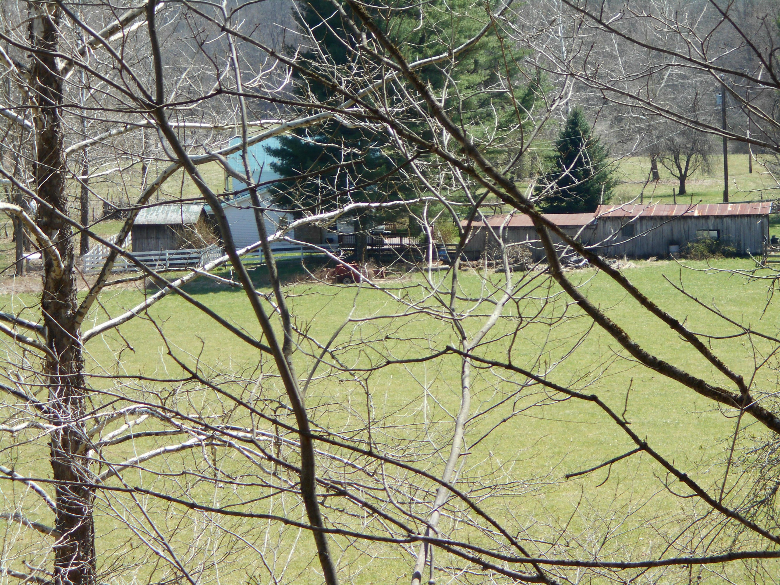 Hc67 Robins Fork Road Renick, WV 24966 - Photo 2 of 26 Gallery Image 2