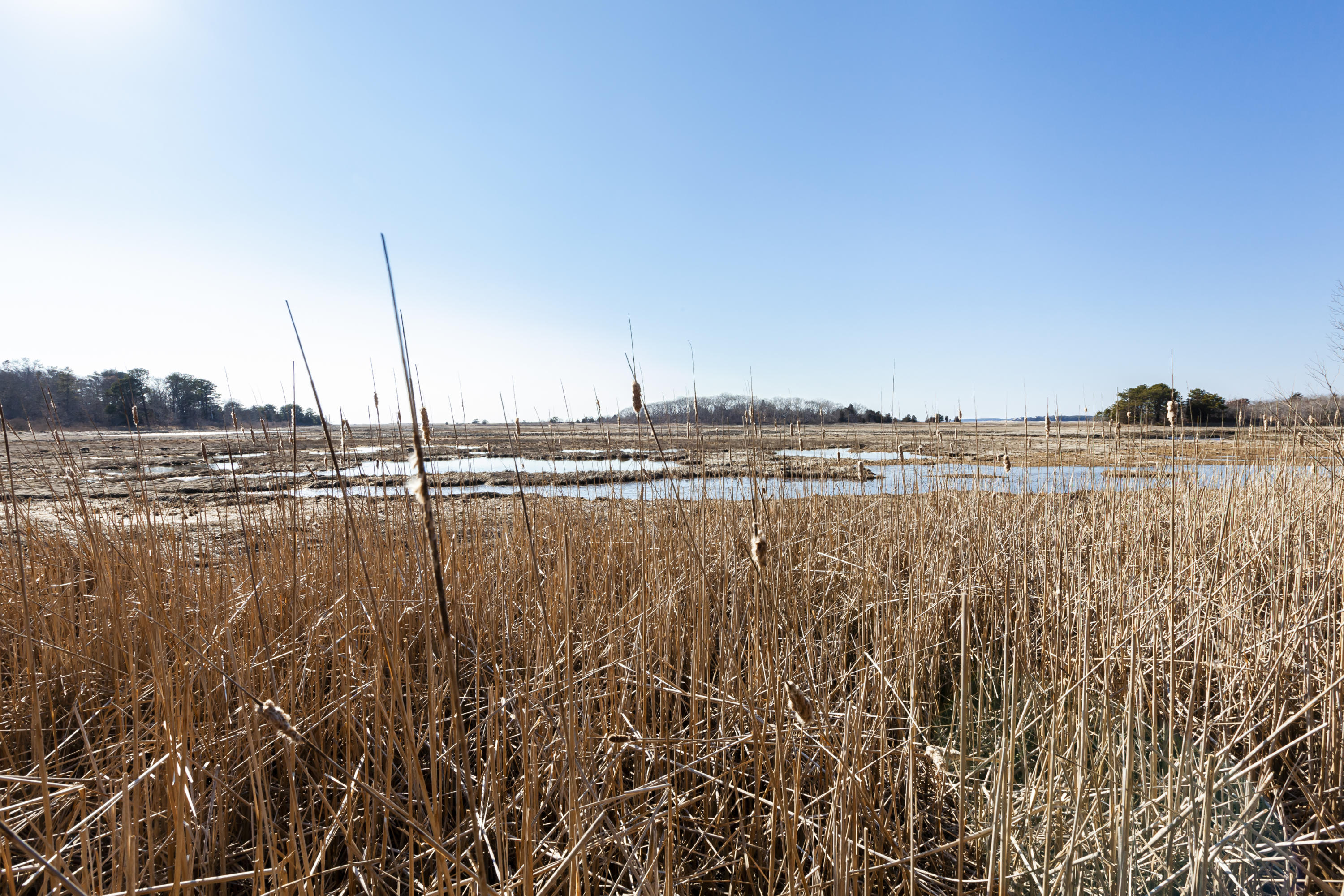 210 W Road, Unit B12 Wellfleet, MA 02667 - Photo 16 of 17 210WestRdB12-28-p