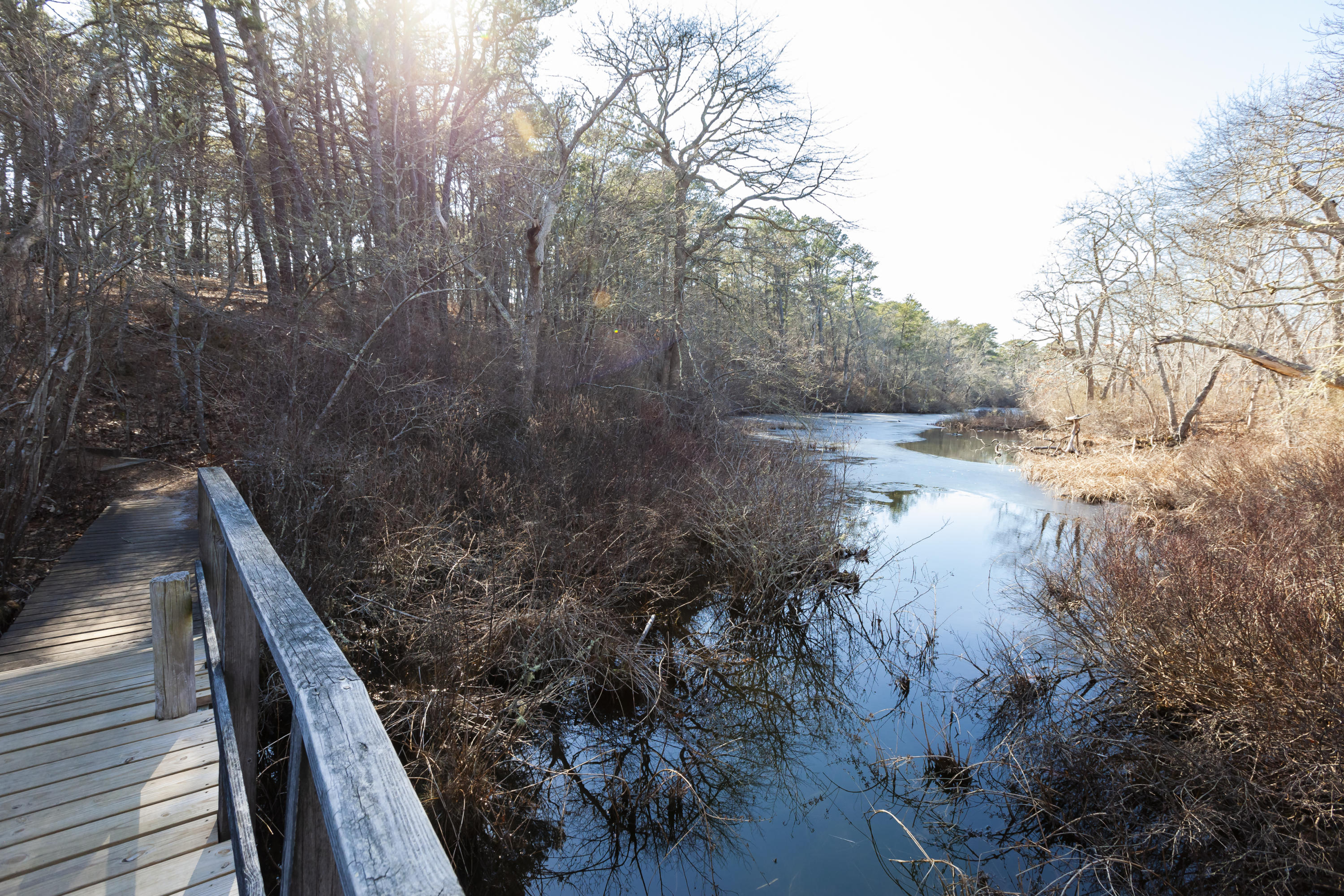210 W Road, Unit B12 Wellfleet, MA 02667 - Photo 17 of 17 210WestRdB12-29-p