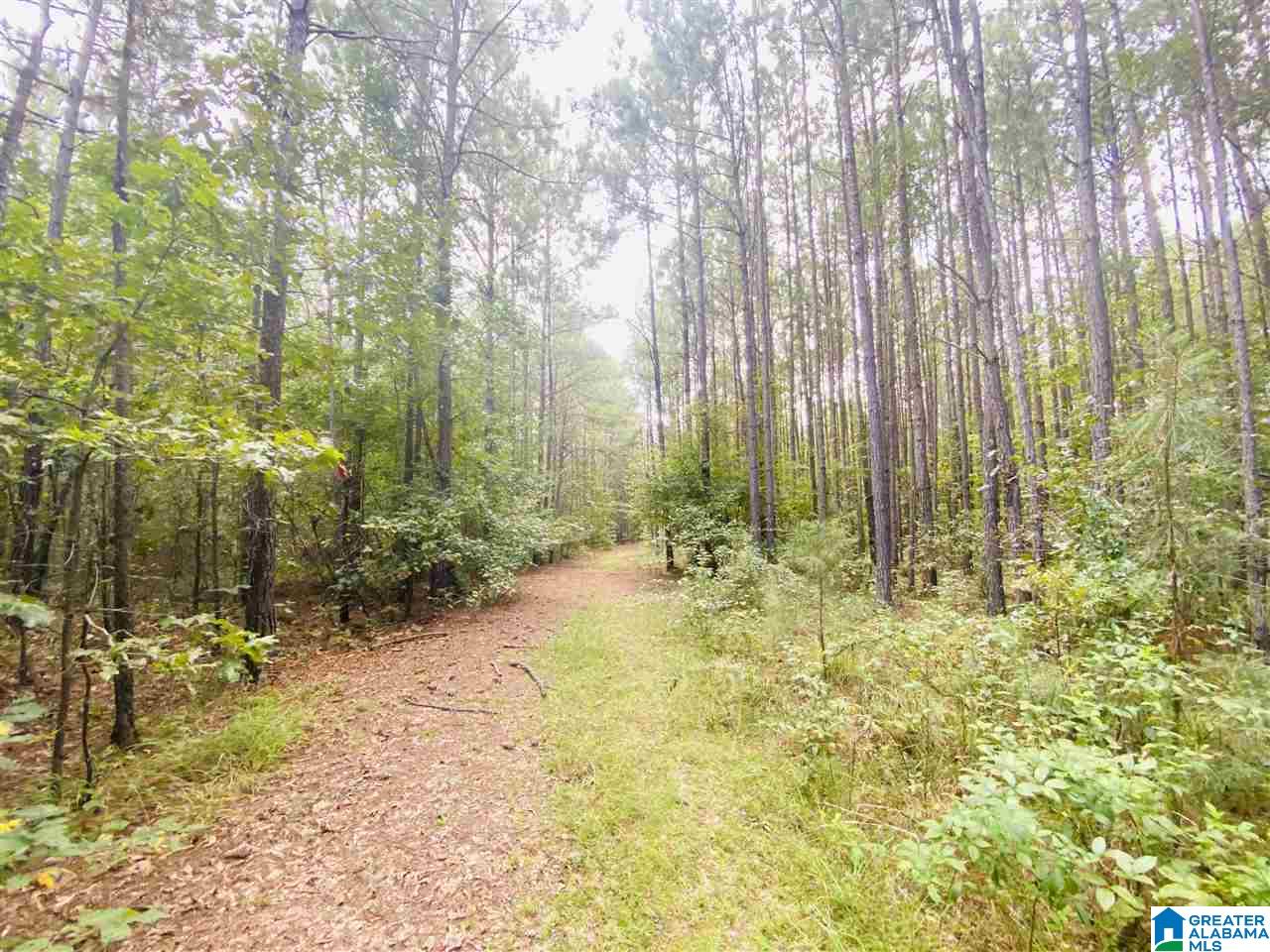 2560 Joe Lee Road, Unit 1 Talladega, AL 35160 - Photo 15 of 35