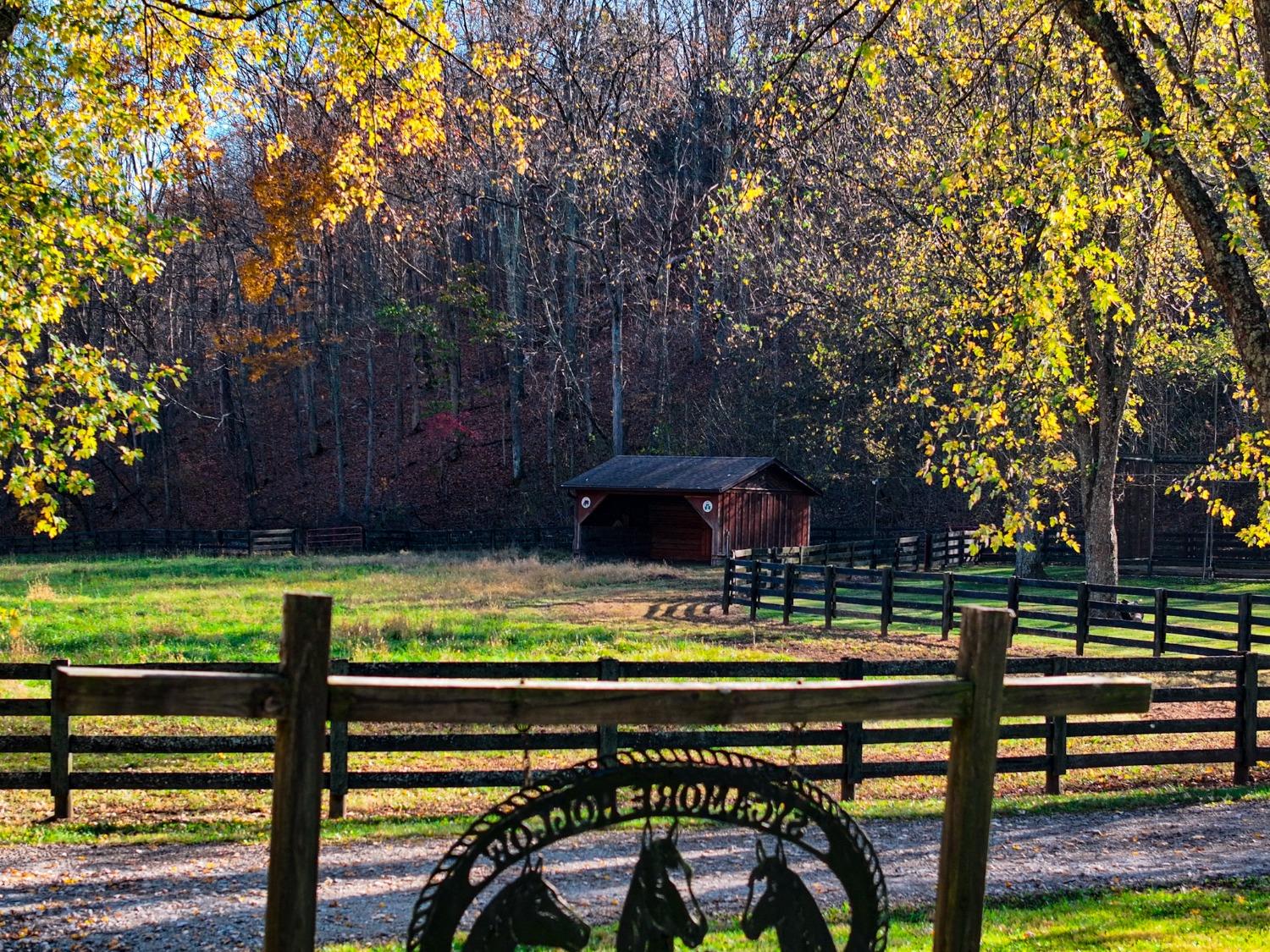 7843 Pruss Road Dillsboro, IN 47018 - Photo 66 of 72