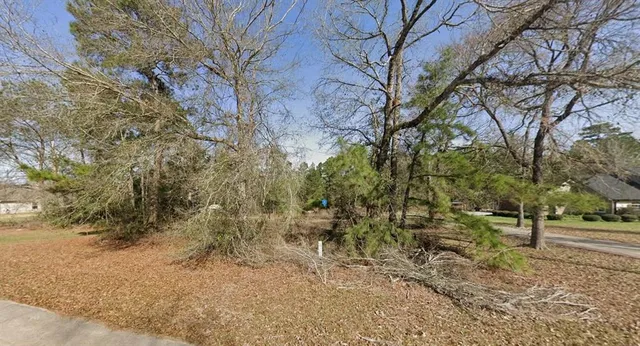 a view of dirt yard with a tree