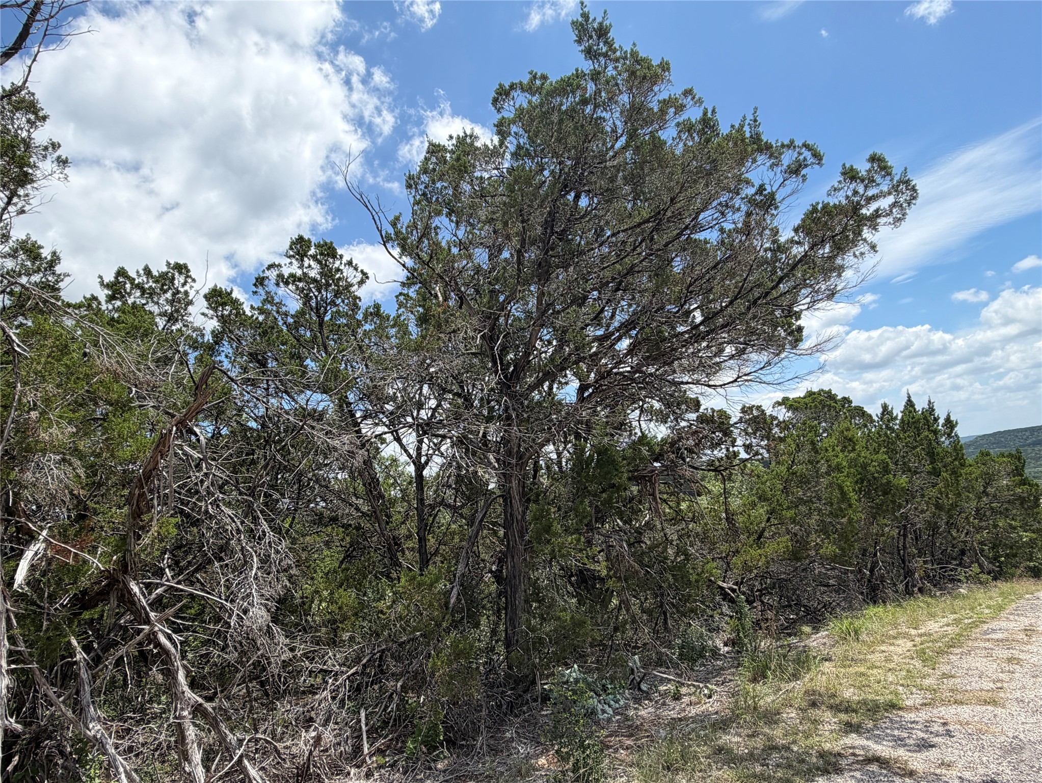 20800 Ranger Trail Lago Vista, TX 78645 - Photo 3 of 4 Mature trees and natural foliage define this lot with expansive views.
