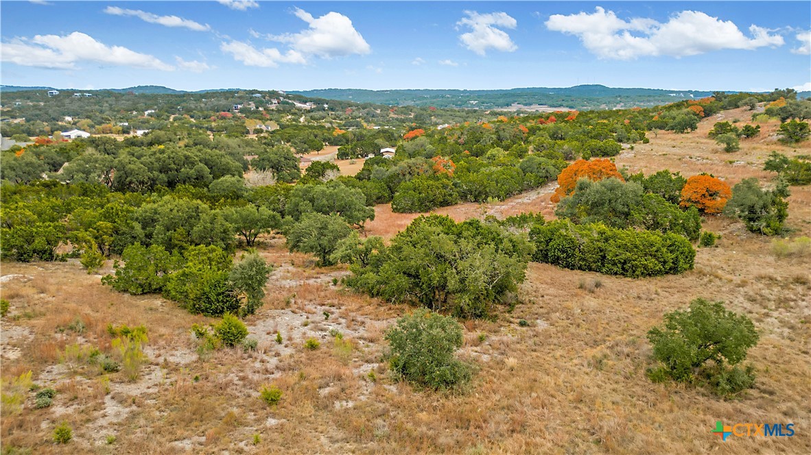 833 Bell Cyn Way Bulverde, TX 78163 - Photo 1 of 20 a view of a lake with beach