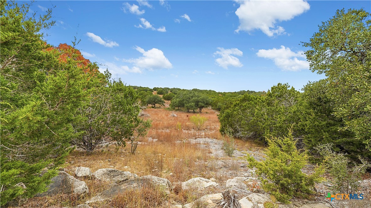 833 Bell Cyn Way Bulverde, TX 78163 - Photo 11 of 20 a view of a pathway both side of yard