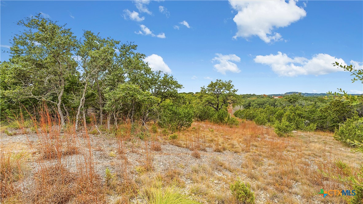 833 Bell Cyn Way Bulverde, TX 78163 - Photo 12 of 20 a view of a yard with a tree