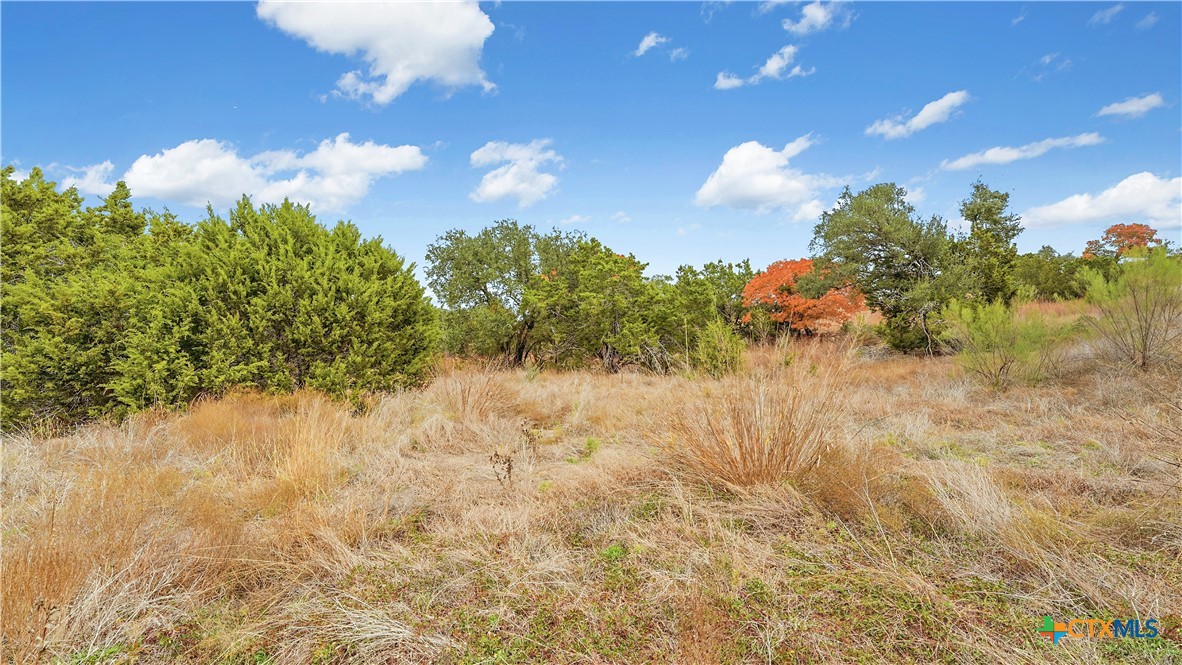 833 Bell Cyn Way Bulverde, TX 78163 - Photo 13 of 20 a view of a lake