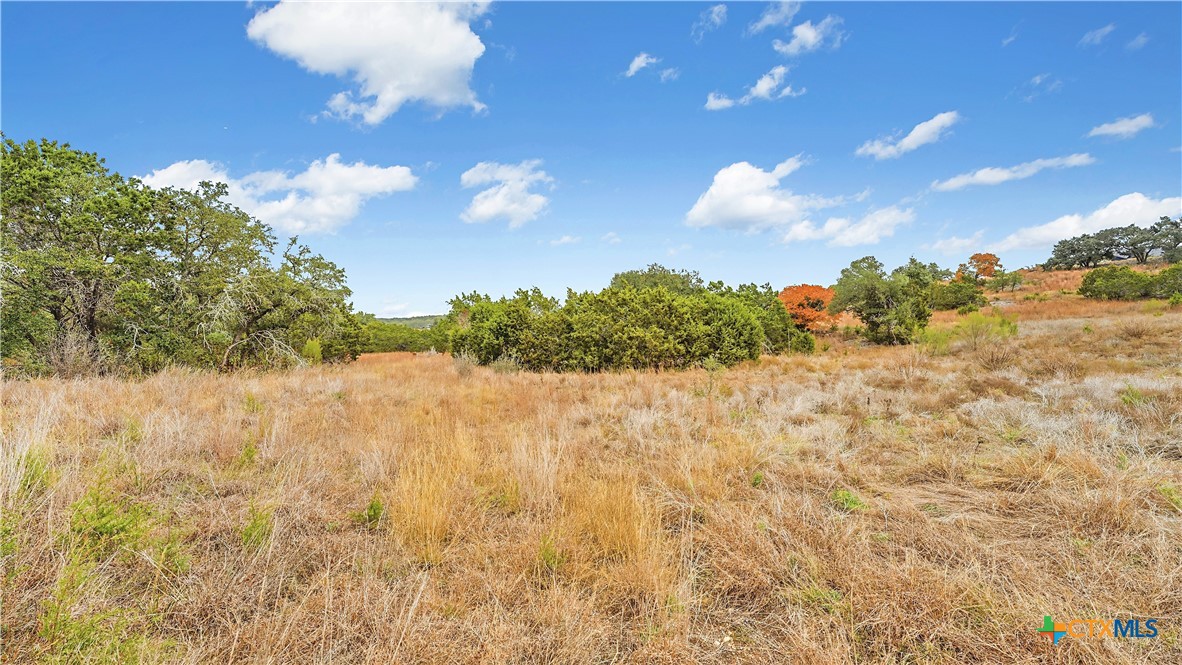 833 Bell Cyn Way Bulverde, TX 78163 - Photo 14 of 20