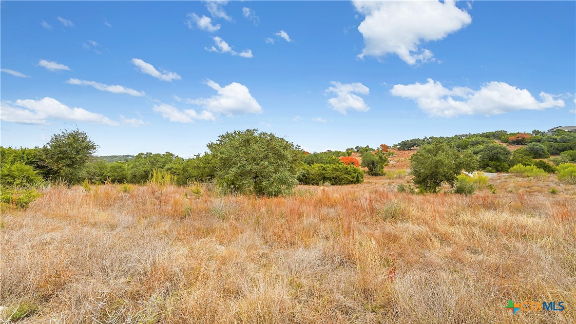 833 Bell Cyn Way Bulverde, TX 78163 - Photo 15 of 20 a view of lake with mountain