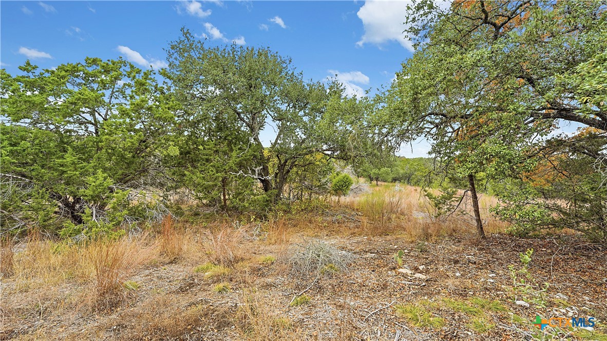 833 Bell Cyn Way Bulverde, TX 78163 - Photo 3 of 20 a backyard of a house with a yard and lake view