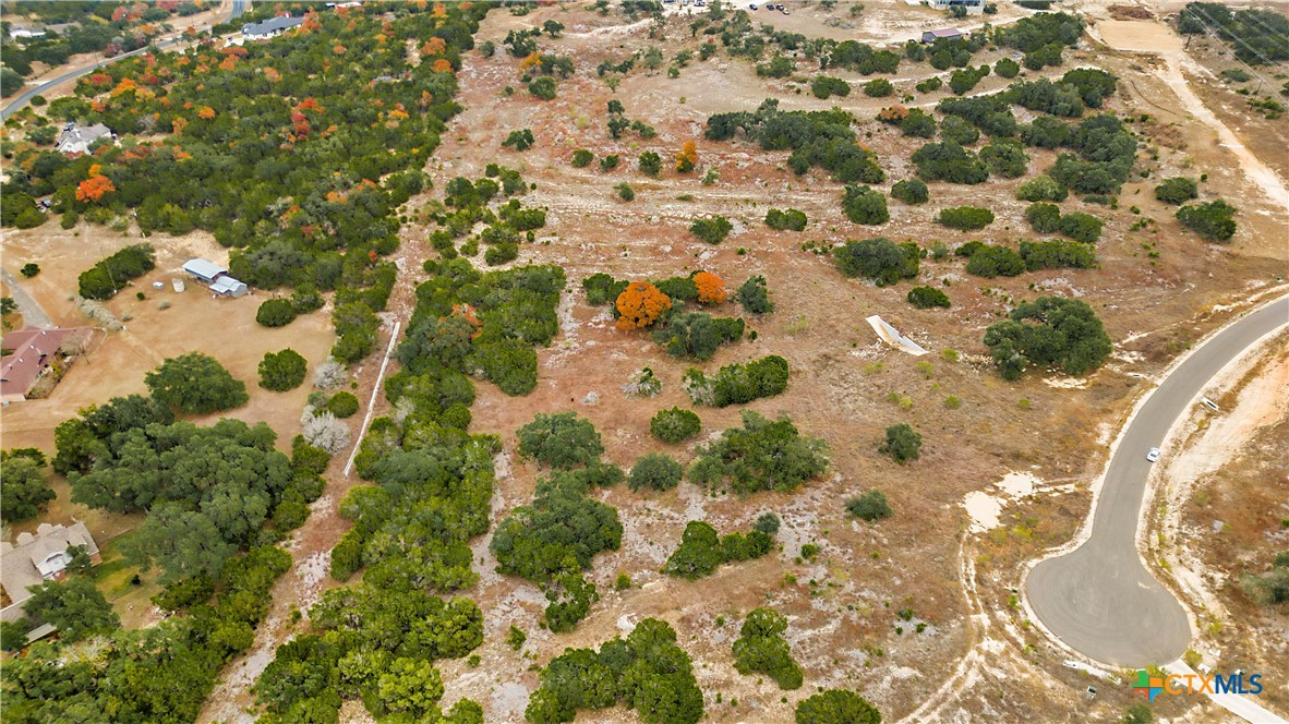 833 Bell Cyn Way Bulverde, TX 78163 - Photo 4 of 20