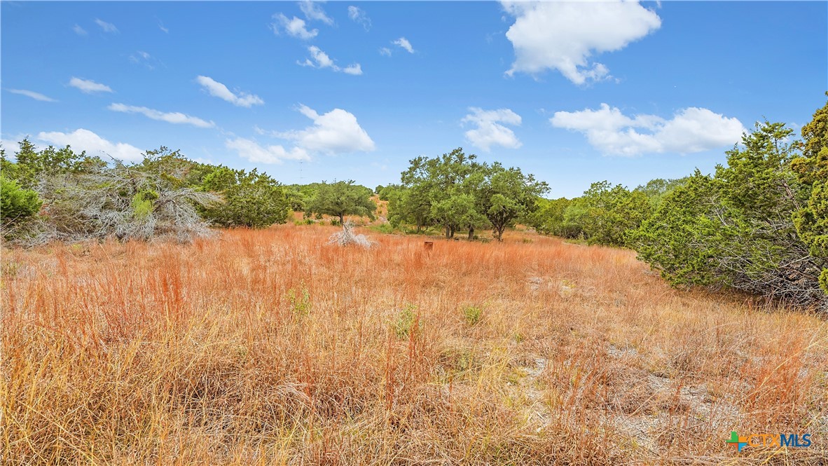 833 Bell Cyn Way Bulverde, TX 78163 - Photo 10 of 20 a view of lake with mountain in the background