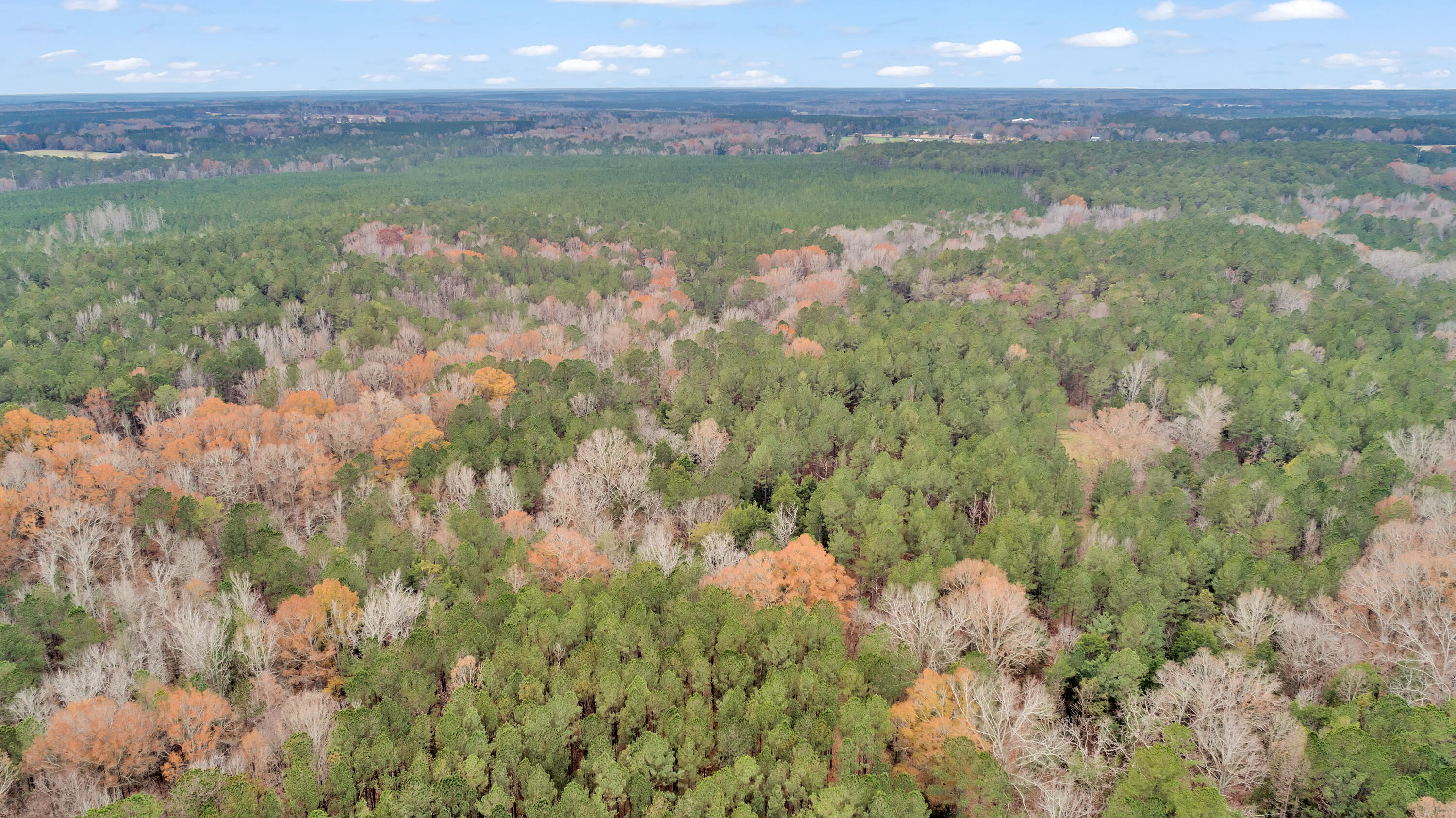 Lot 5 Saggus Road Washington, GA 30673 - Photo 27 of 40 Saggus Rd land 121-007A, 400ft View, Dro