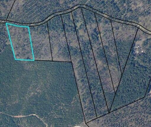 Lot 5 Saggus Road Washington, GA 30673 - Photo 31 of 40 Saggus Landing Tax Map