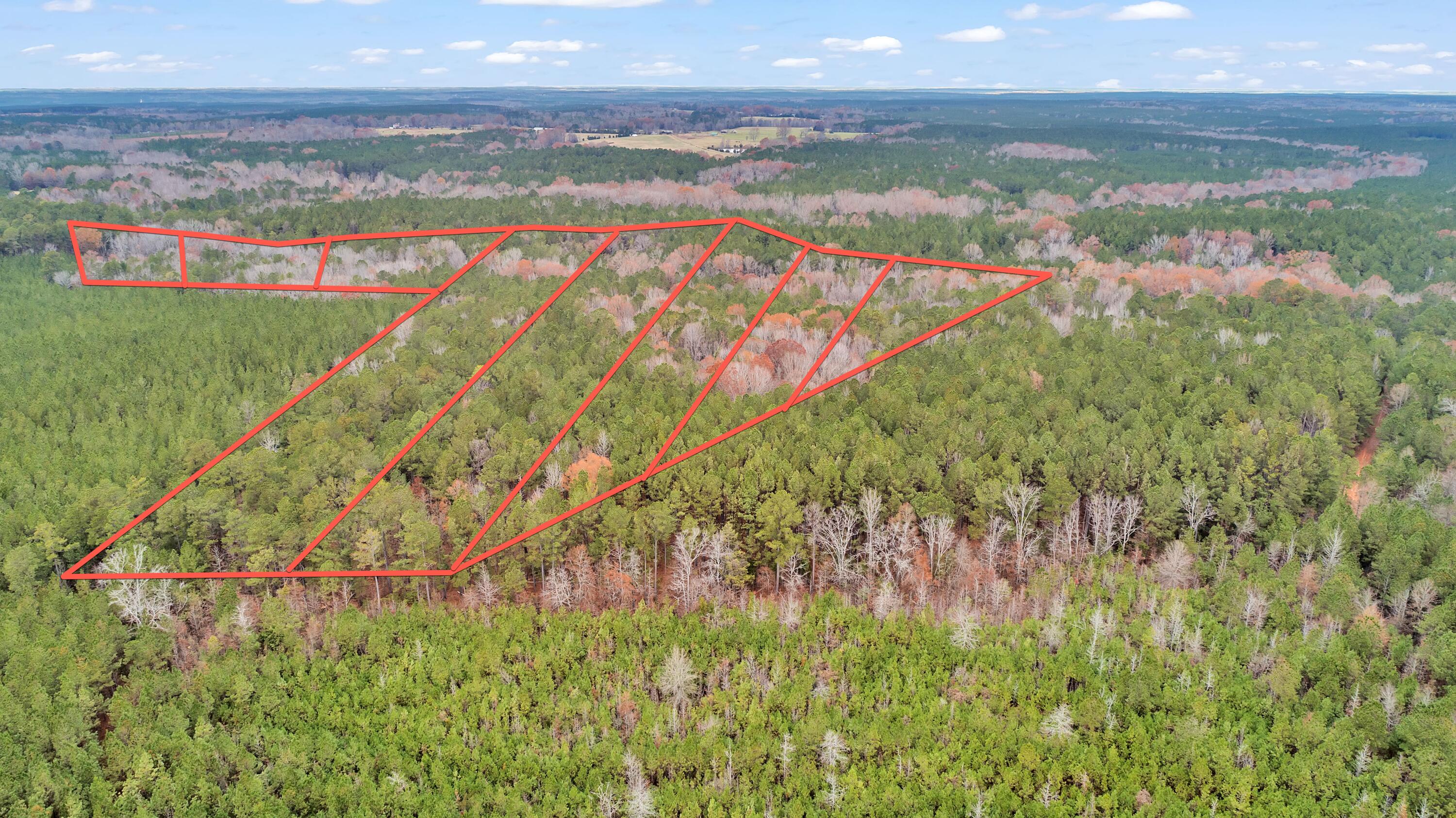 Lot 5 Saggus Road Washington, GA 30673 - Photo 32 of 40 Saggus Rd land 121-007A, 400ft View, Dro