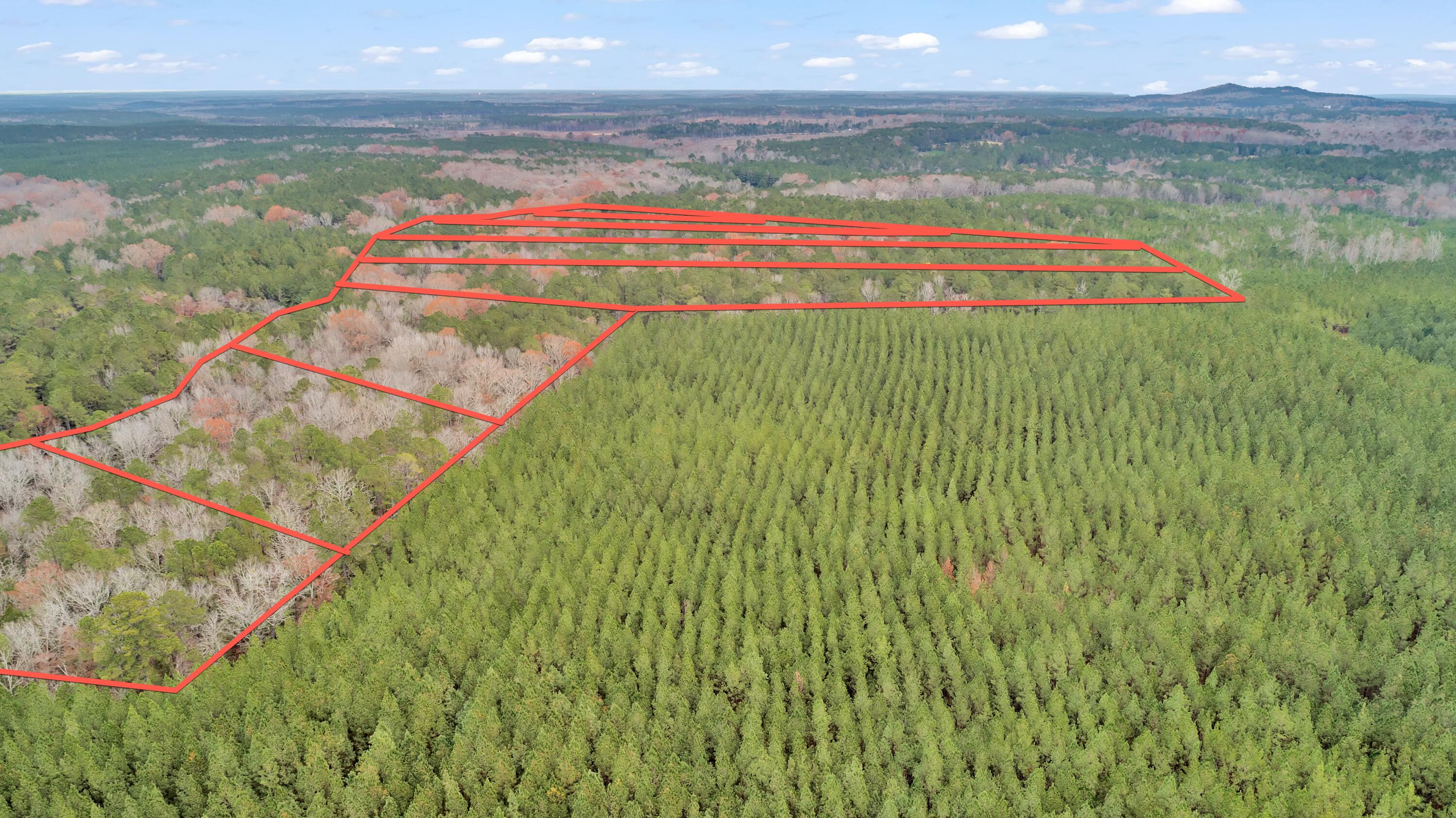 Lot 5 Saggus Road Washington, GA 30673 - Photo 34 of 40 Saggus Rd land 121-007A, 400ft View, Dro